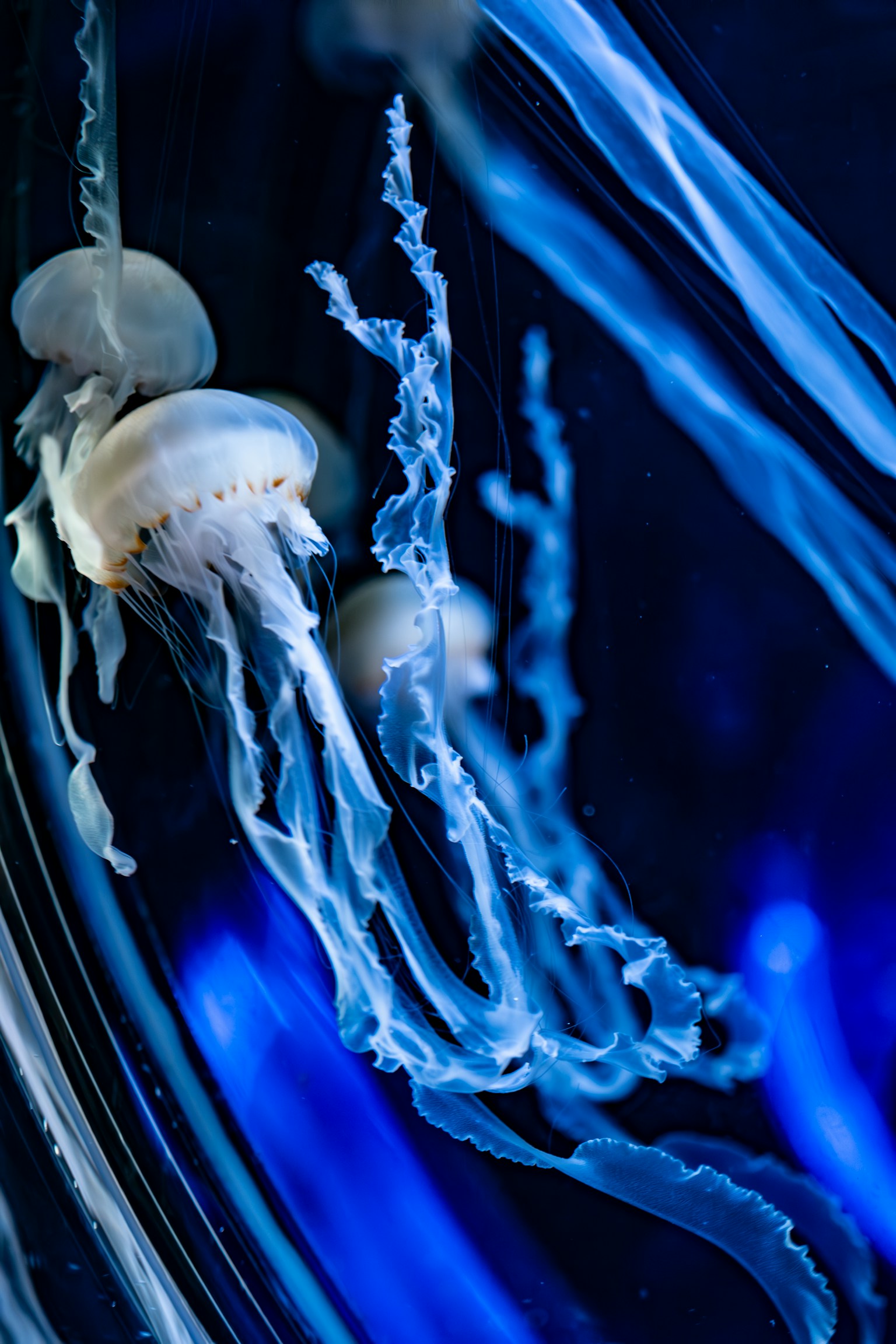 photo-8JvUSv1ZlwkD0ITF0a8P-image