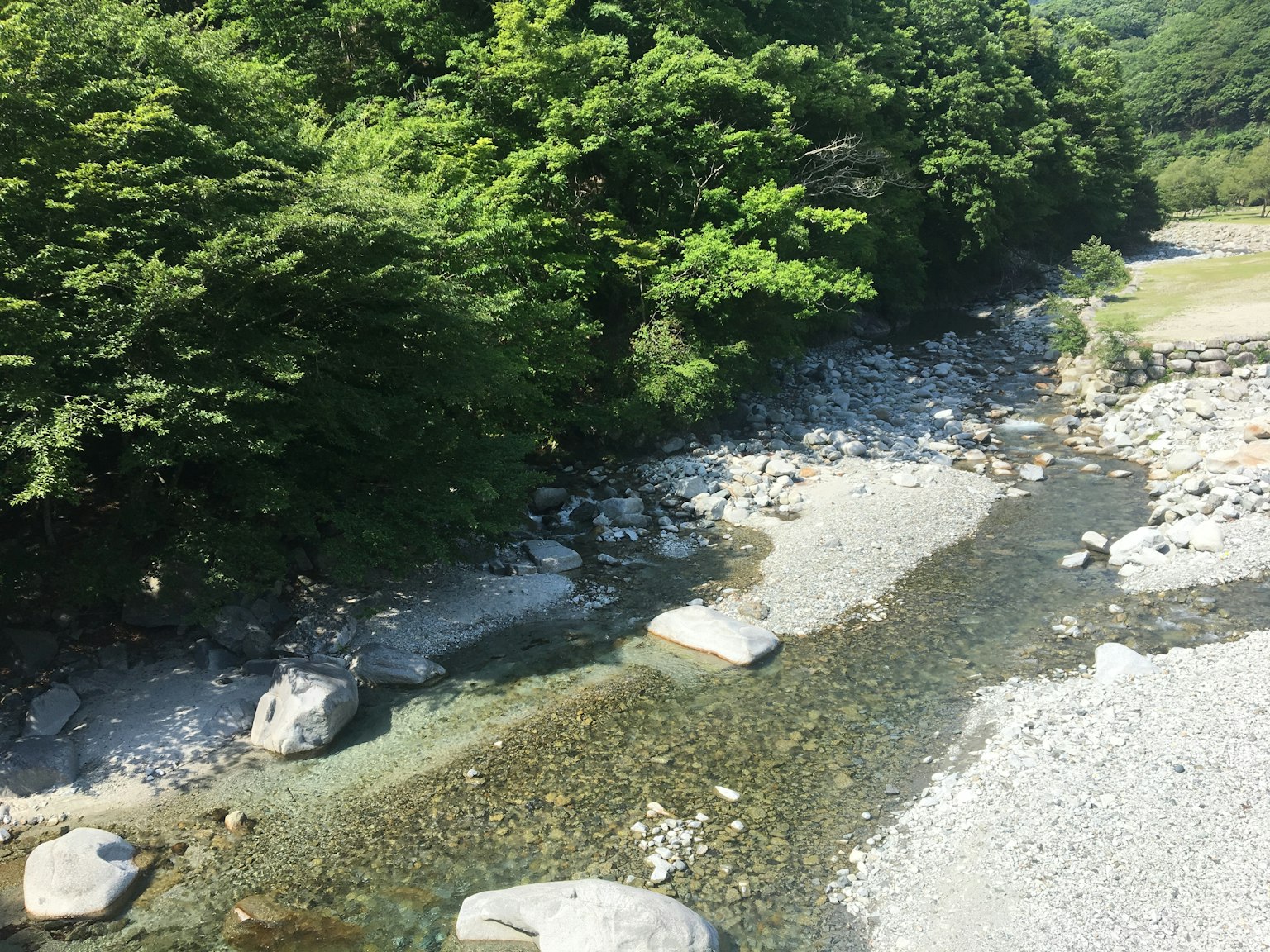 Vue pittoresque d'un ruisseau clair entouré d'arbres verts luxuriants avec de grosses et petites pierres au bord de l'eau