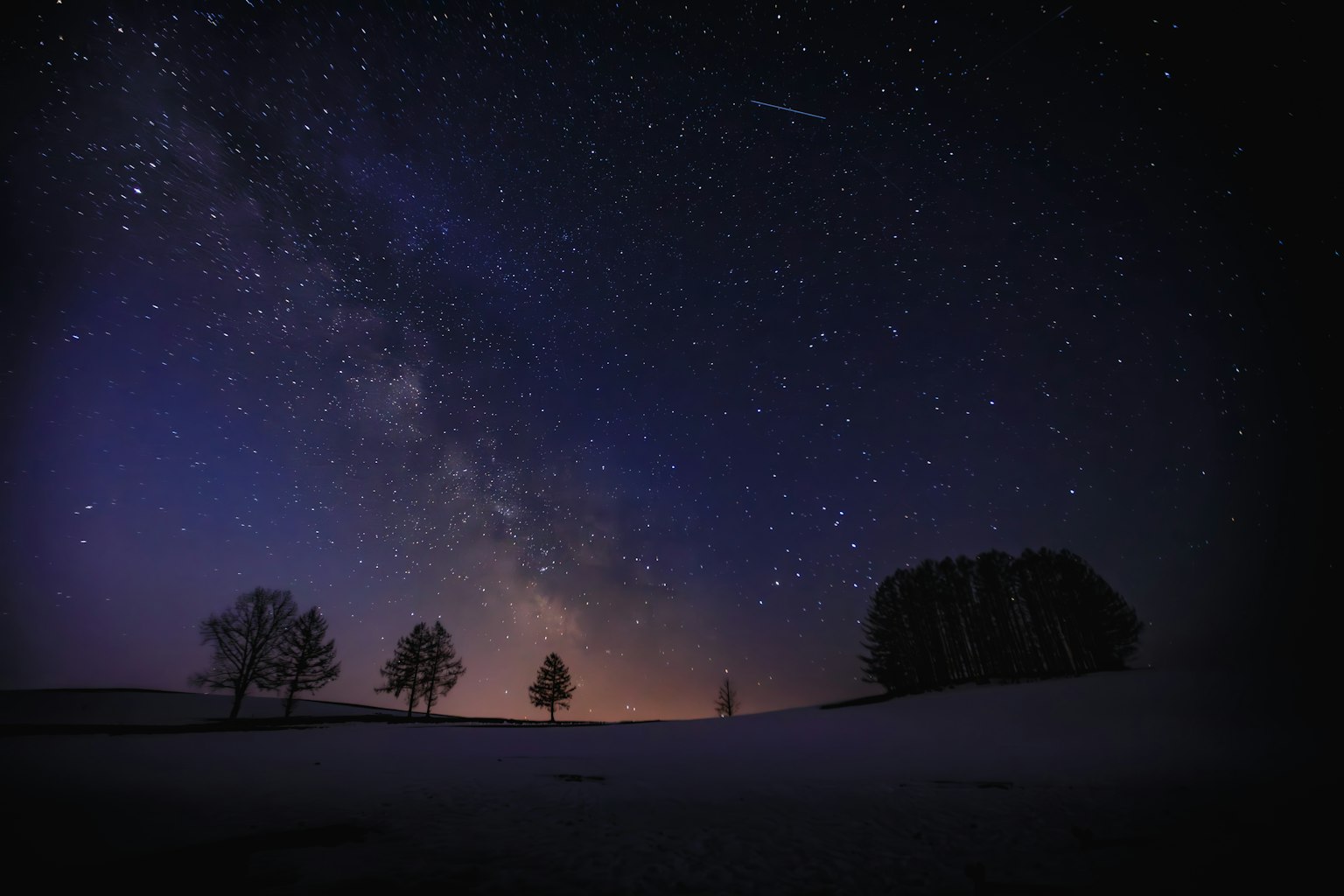 星空和银河背景下的树木剪影的美丽夜景