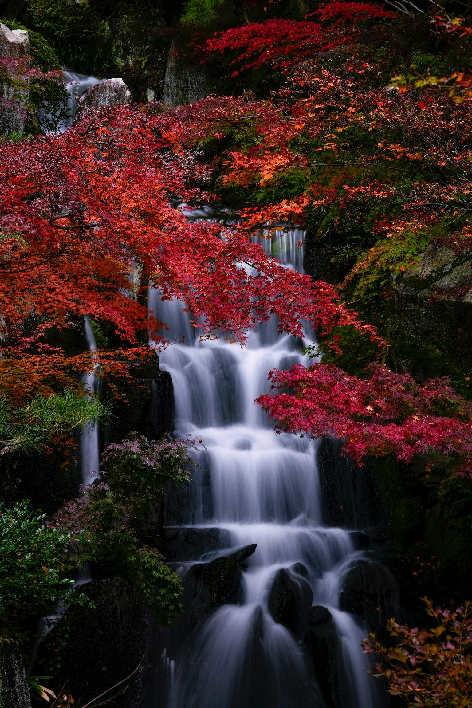 美しい滝と紅葉の風景 滝の水が流れ落ちる周囲には赤やオレンジの葉が彩る