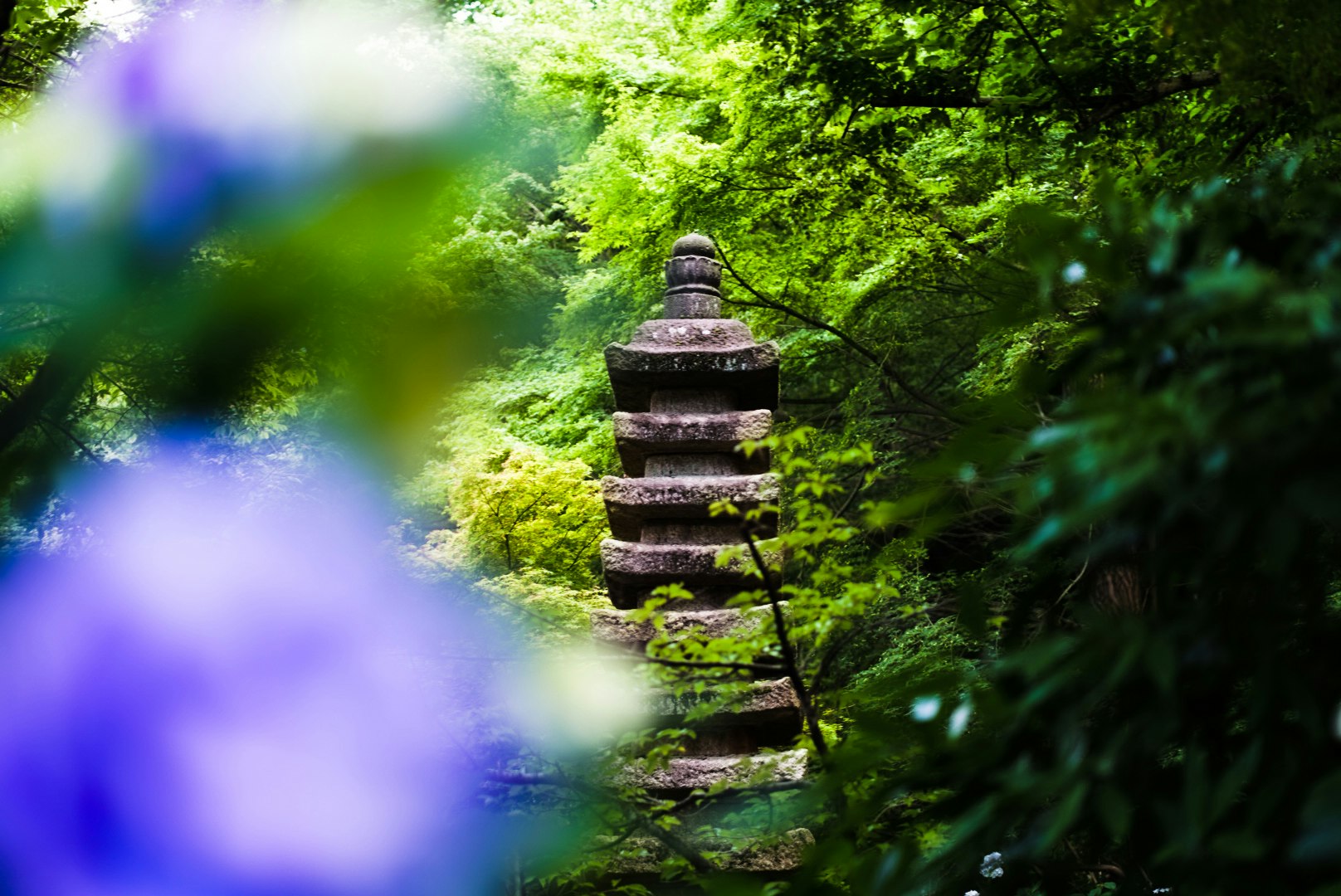 mossy stone path and stacked stones surrounded by lush greenery