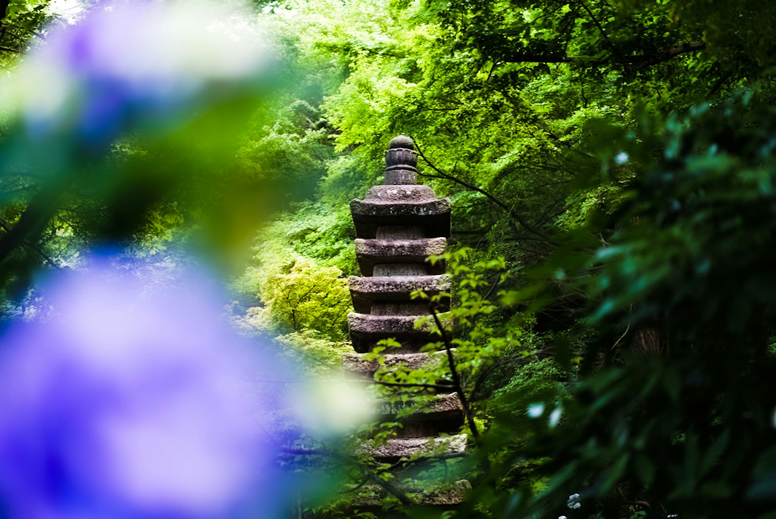Una vista borrosa de una pagoda rodeada de vegetación exuberante con flores moradas en primer plano