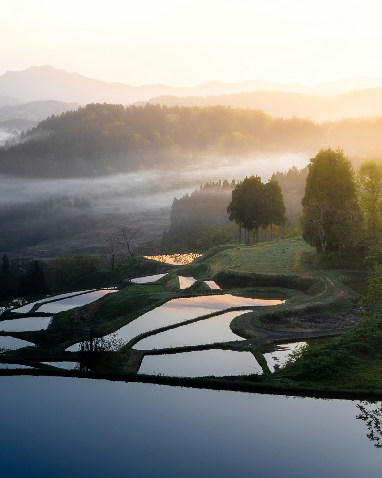 霧のかかった丘陵と曲がりくねった小川のある田園風景