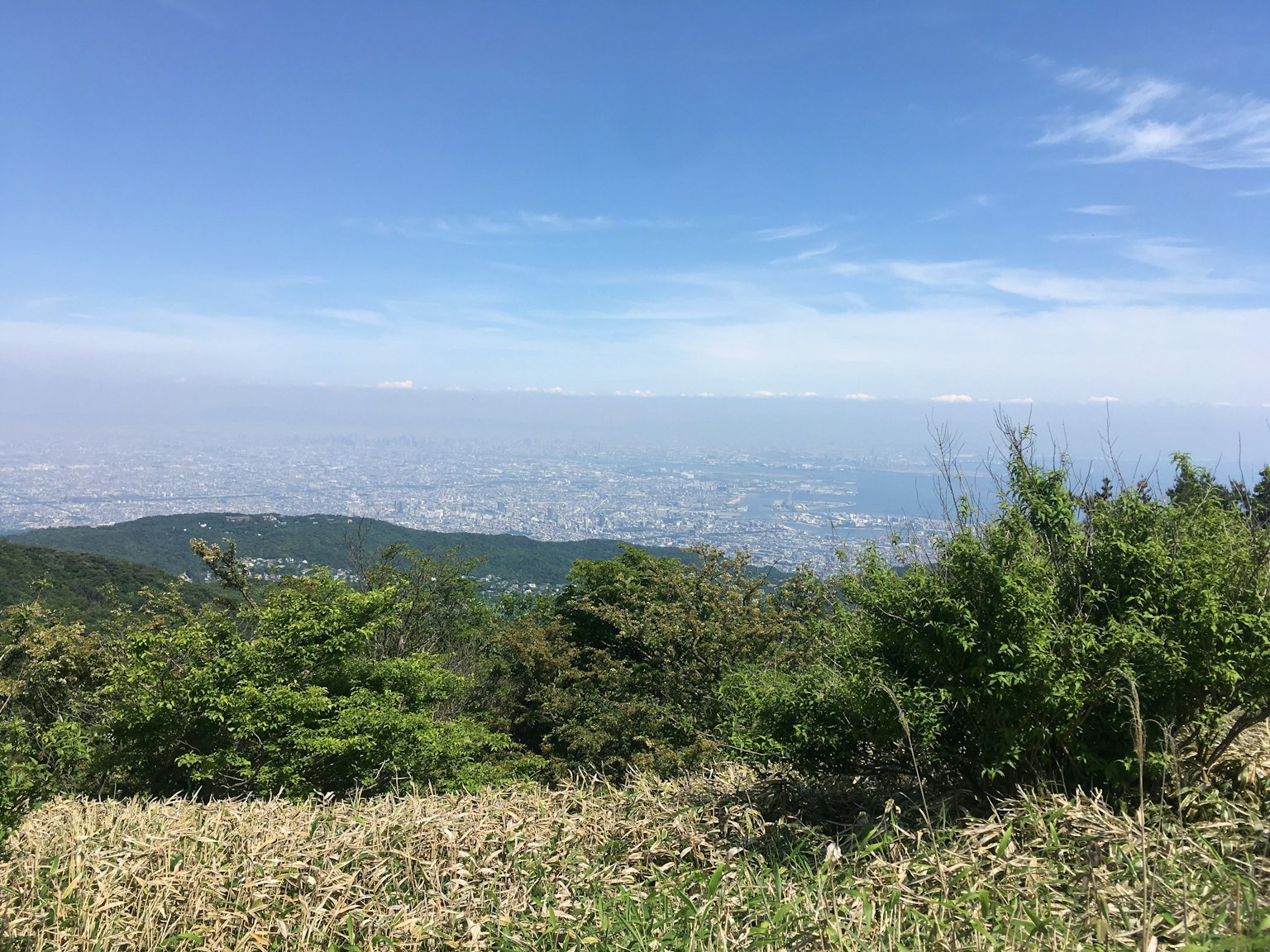 View of a sprawling city under a blue sky with green hills and grassland