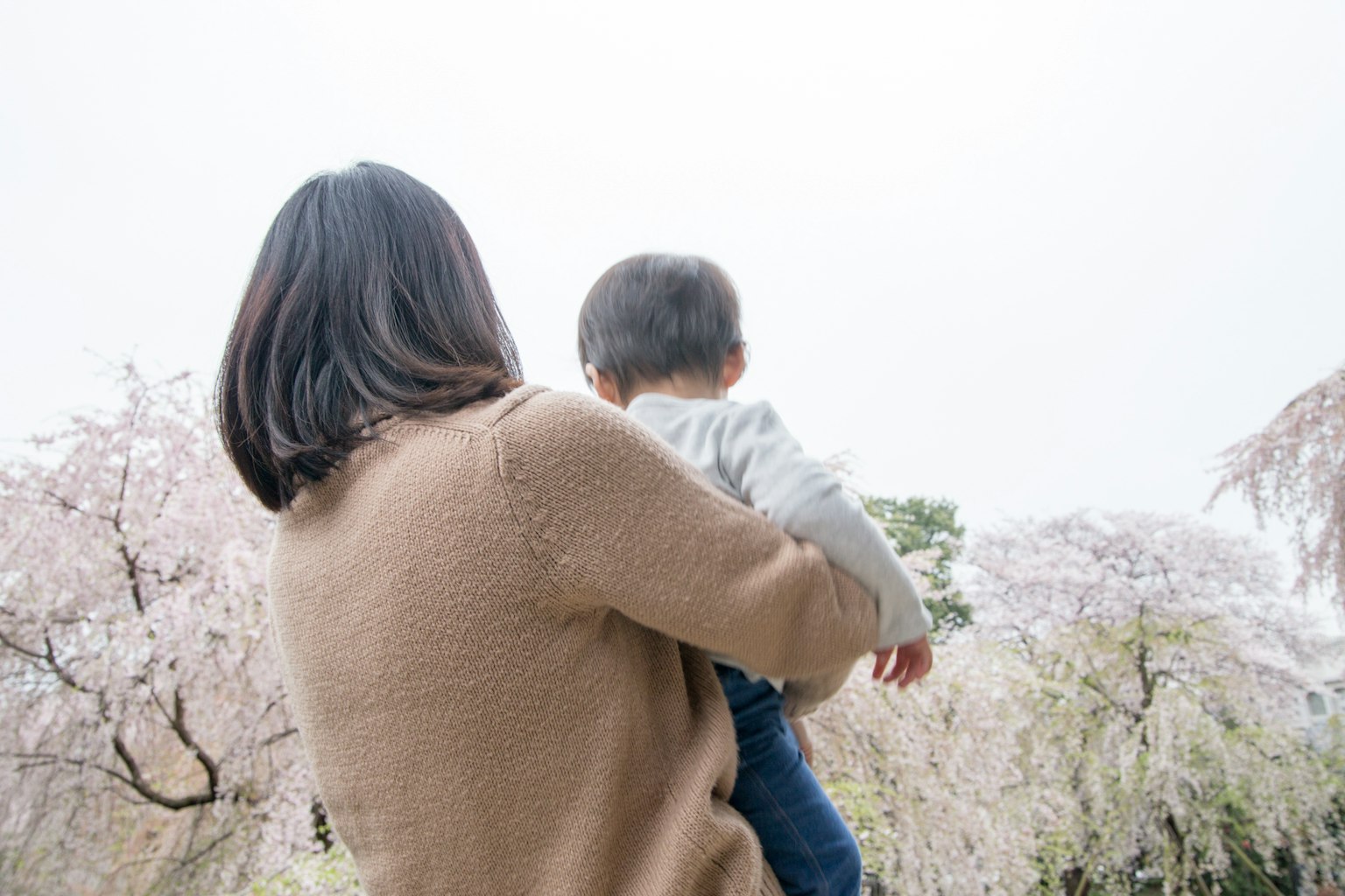 Ibu menggendong anak di depan pohon sakura