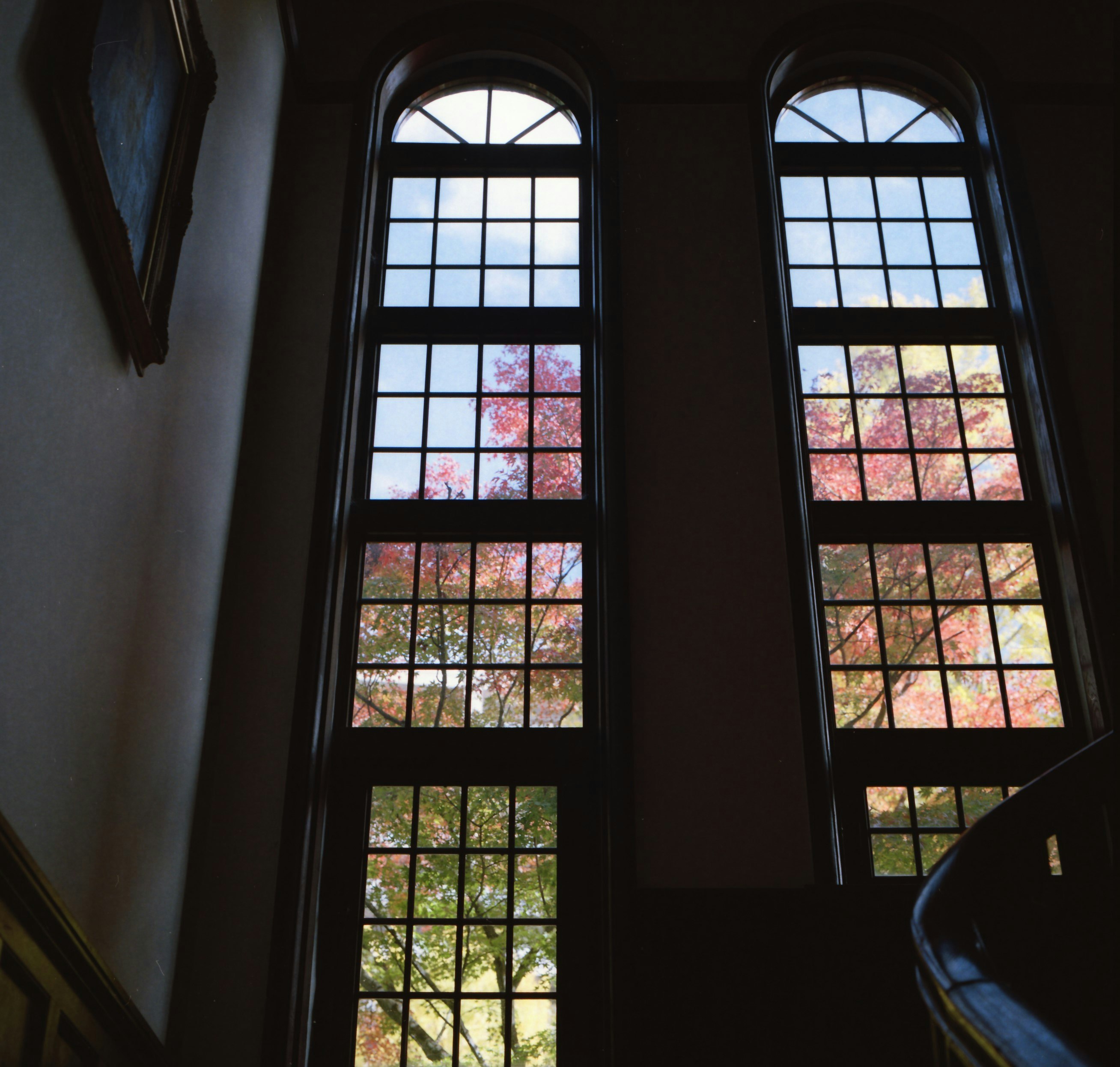 Vista interior con árboles visibles a través de ventanas arqueadas