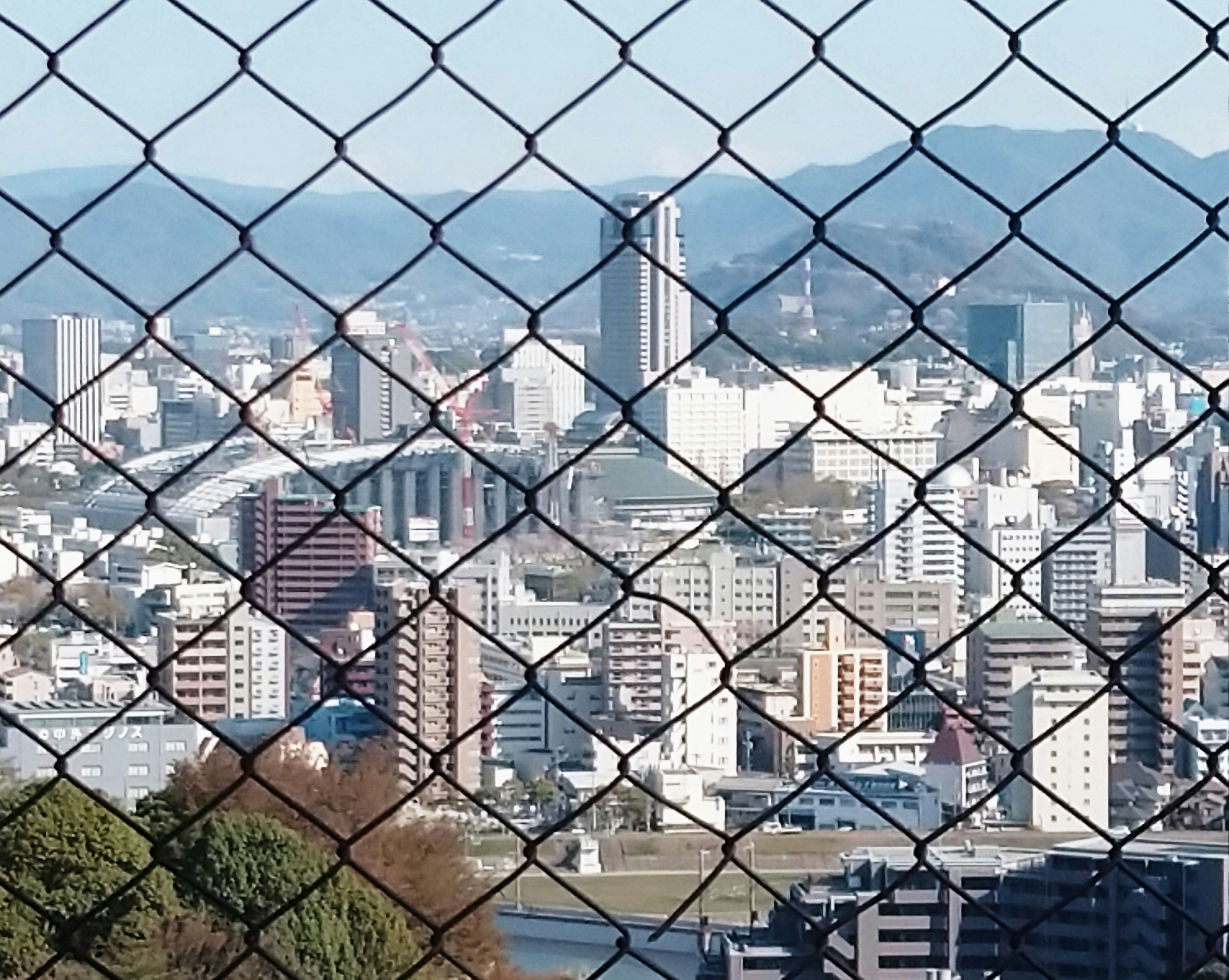 フェンス越しに広がる高層ビル群の都市景観
