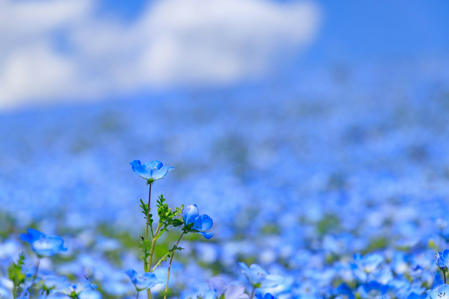 photo-8NLdsKsIhcIW4VxbKOpi-image