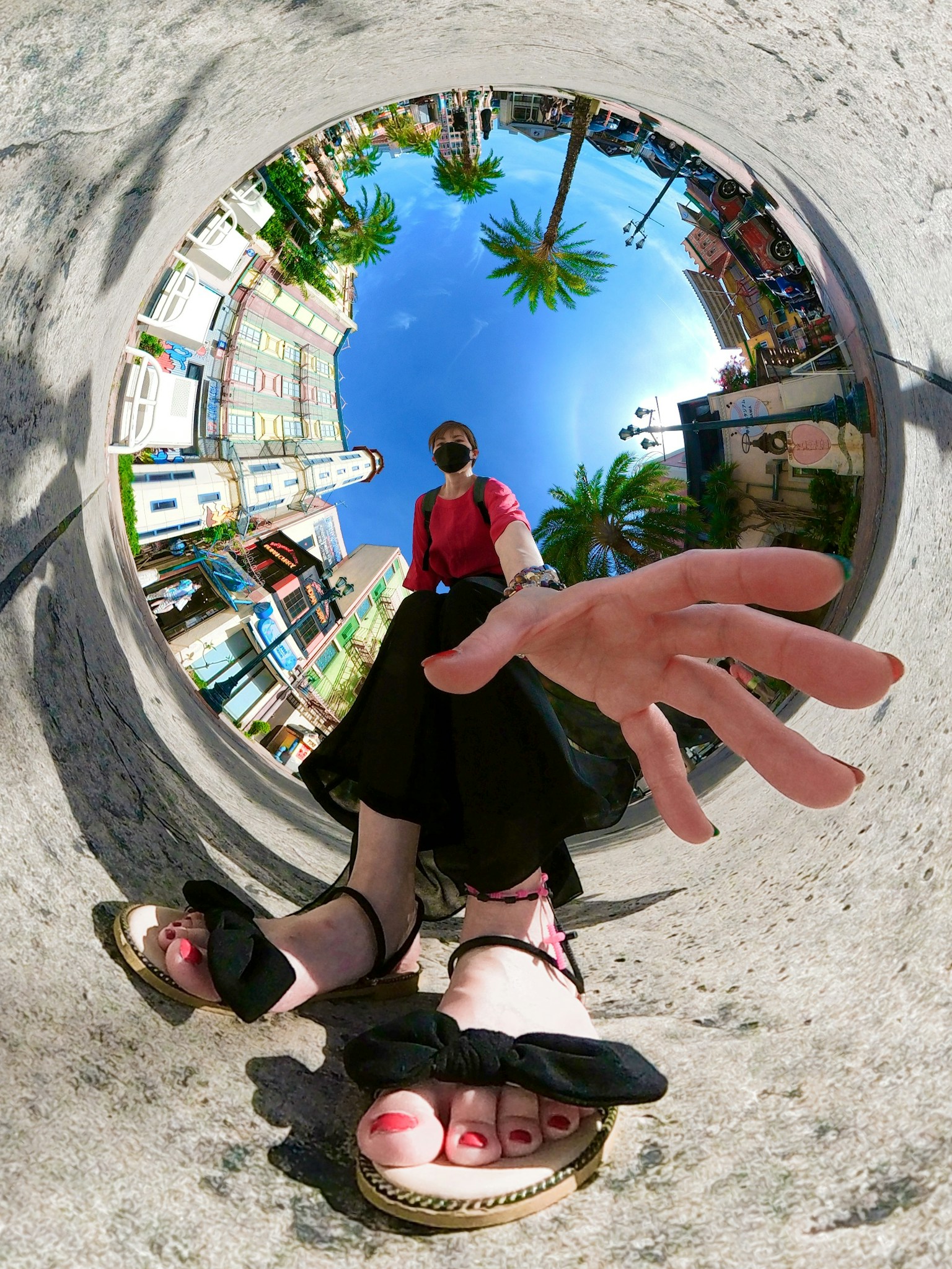 Unique perspective photo of a person reaching out with a blue sky and palm trees in the background