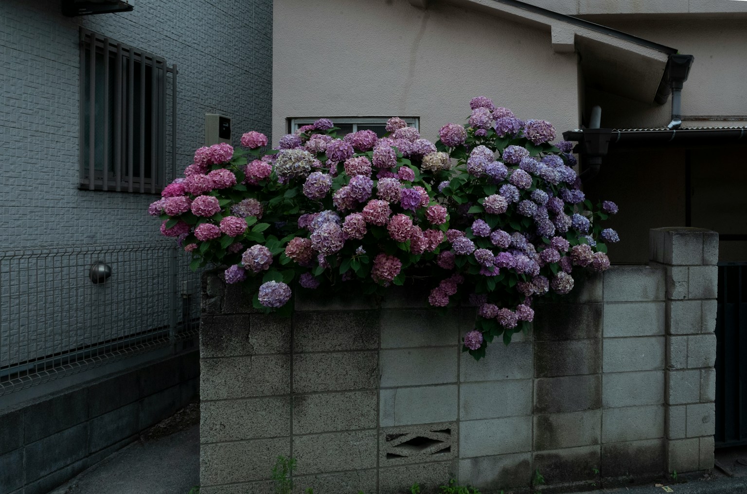 photo-8P8koS1a4Ql91qilGmbc-image