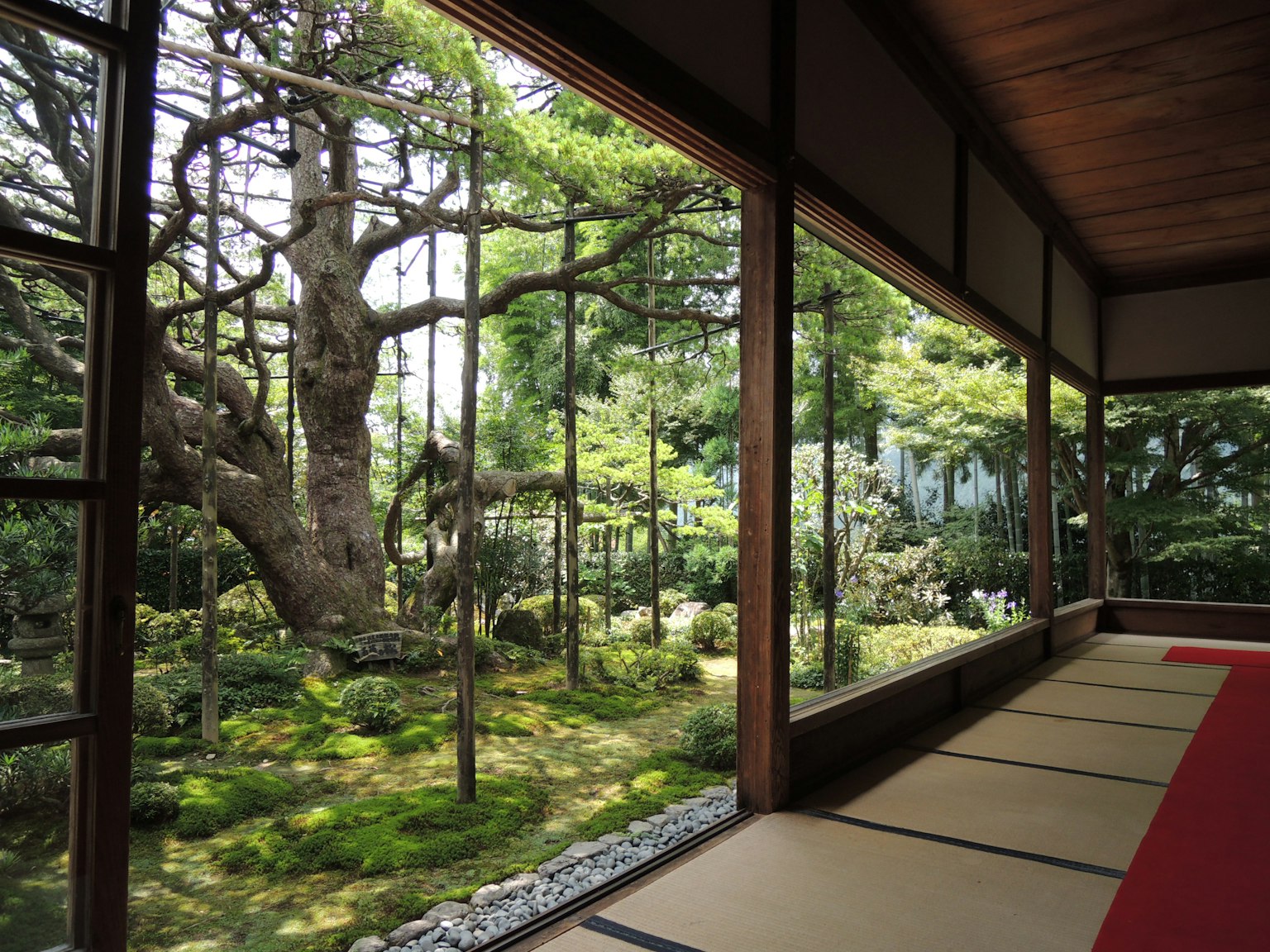 Khung cảnh của một khu vườn Nhật Bản đẹp từ cửa sổ phòng tatami