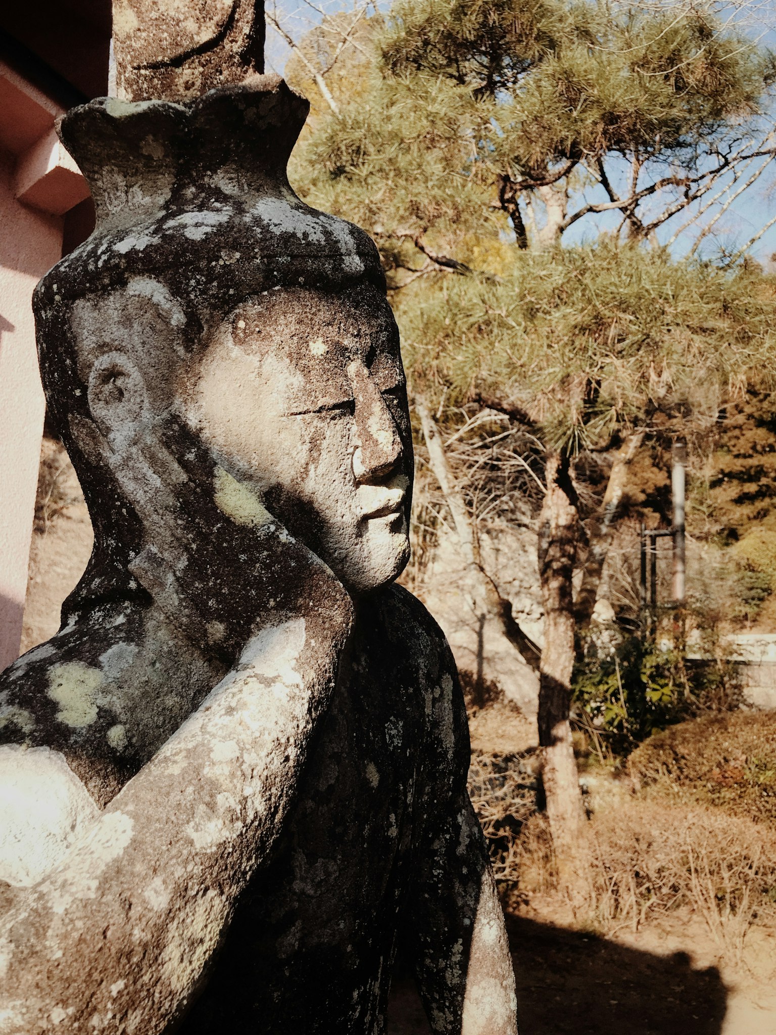 Antica statua in pietra immersa in un ambiente naturale