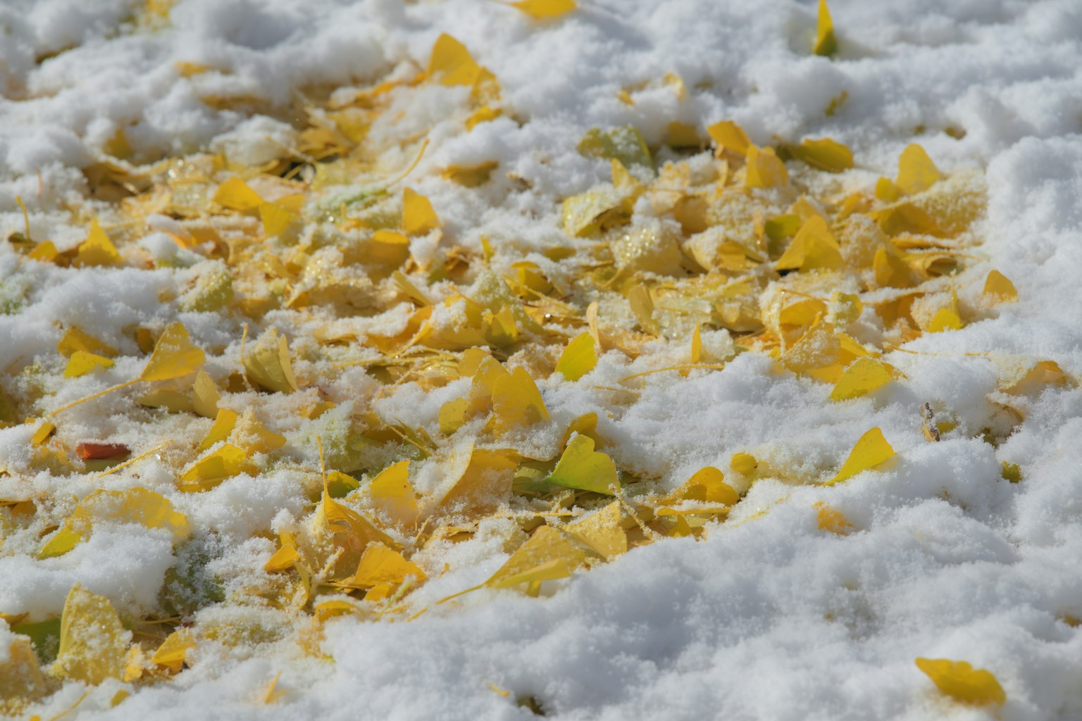 暗い背景にシンプルなデザインのグレーの四角形