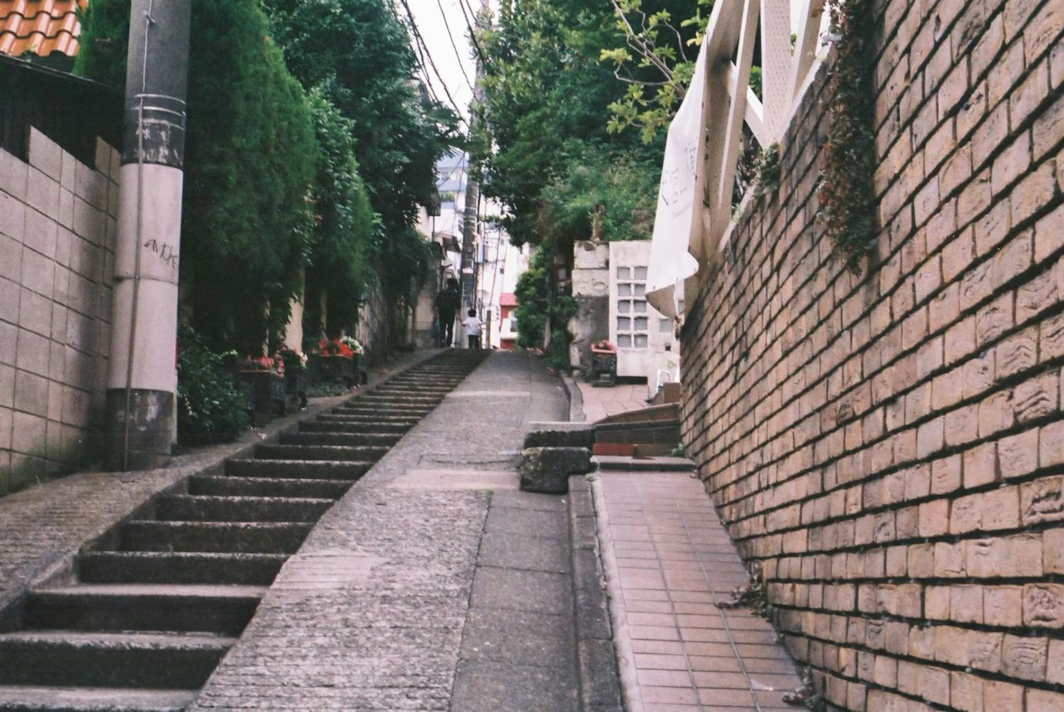 一条被绿树和砖墙环绕的陡峭小路