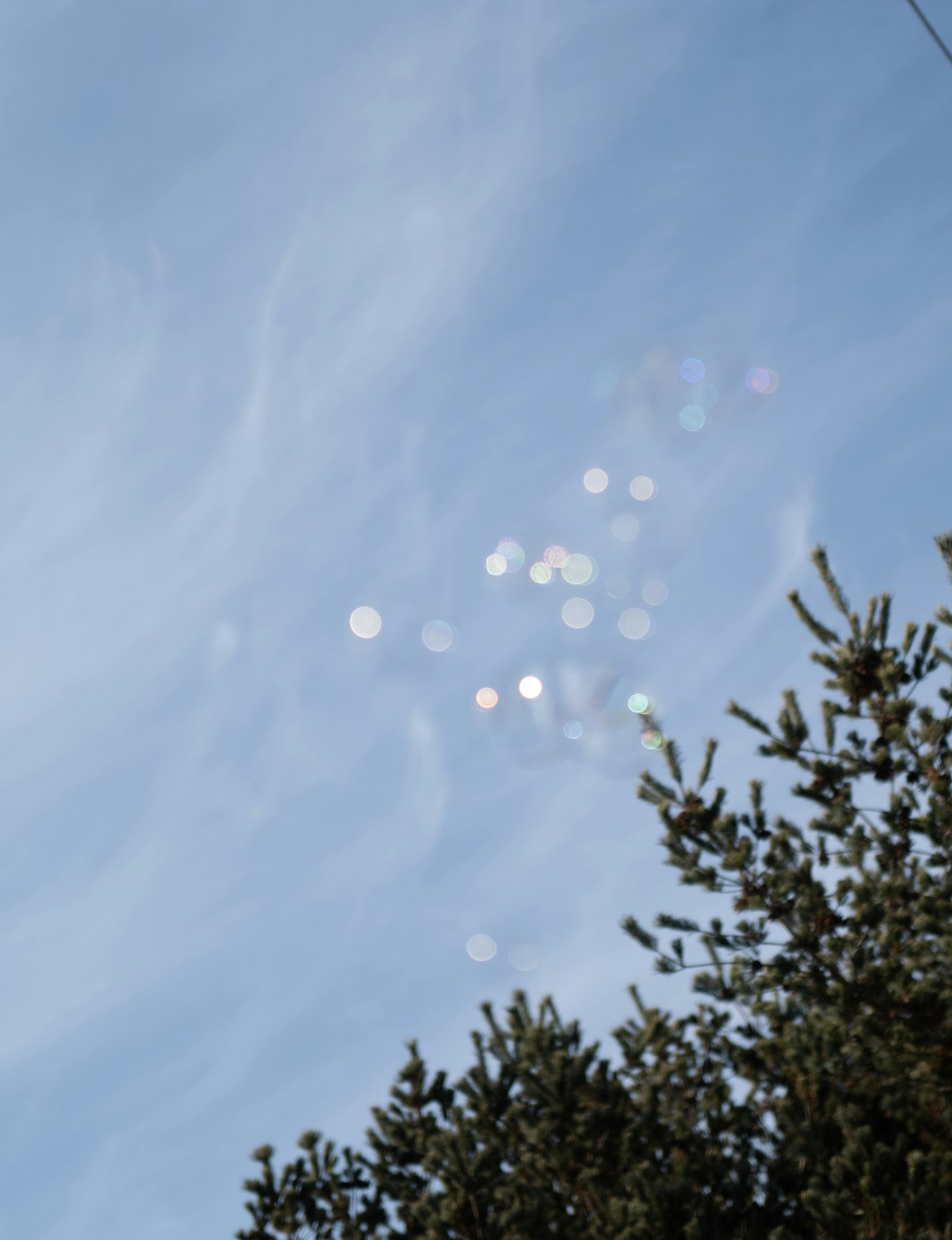 Points lumineux scintillants sur un ciel bleu avec silhouette d'arbre