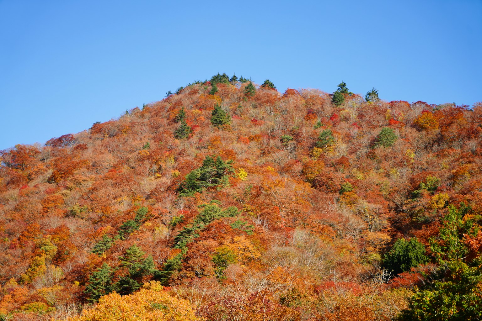 秋天色彩装饰的山景