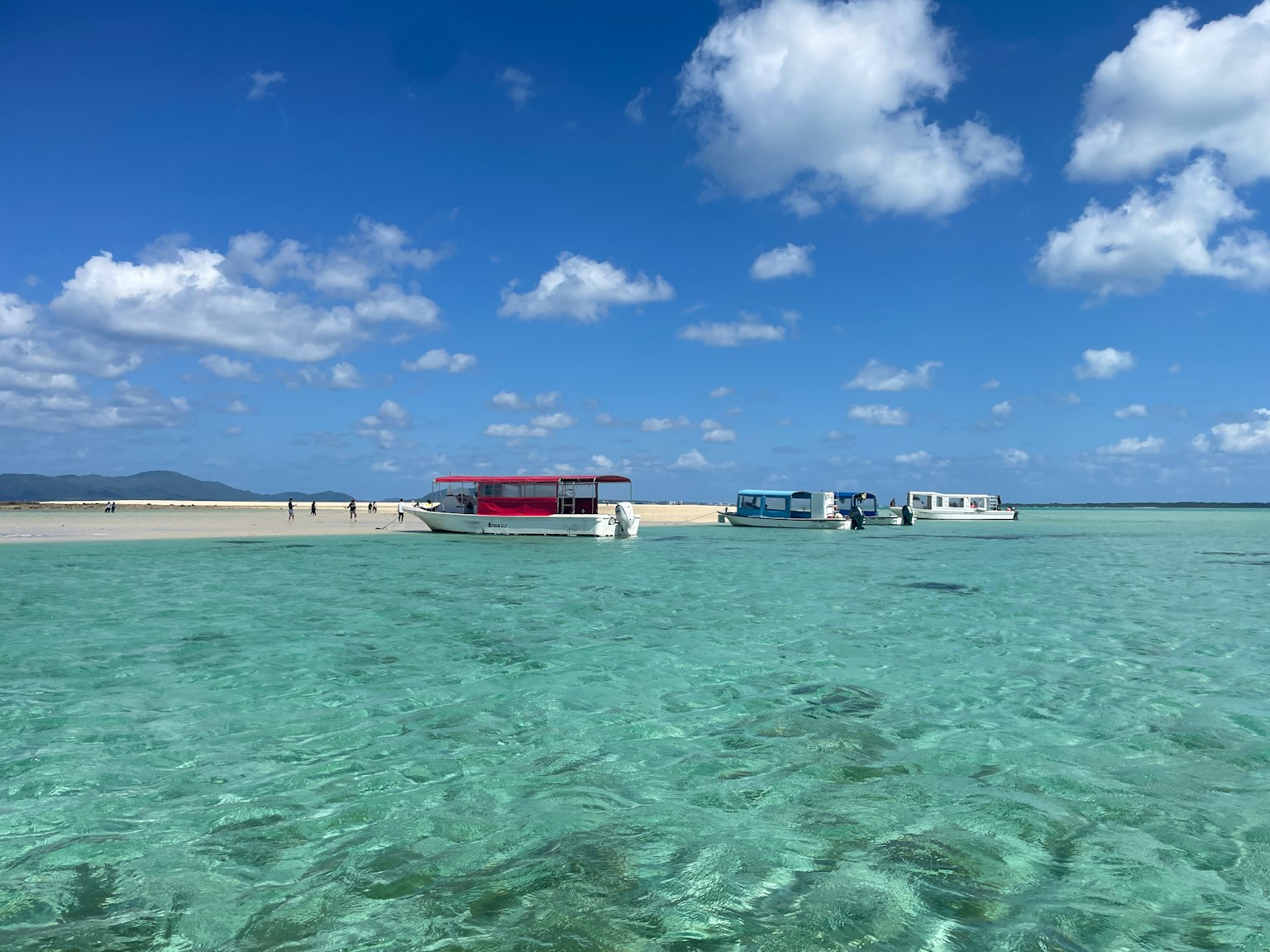 清澈的绿松石水域背景下有红色船只和白色沙滩的风景