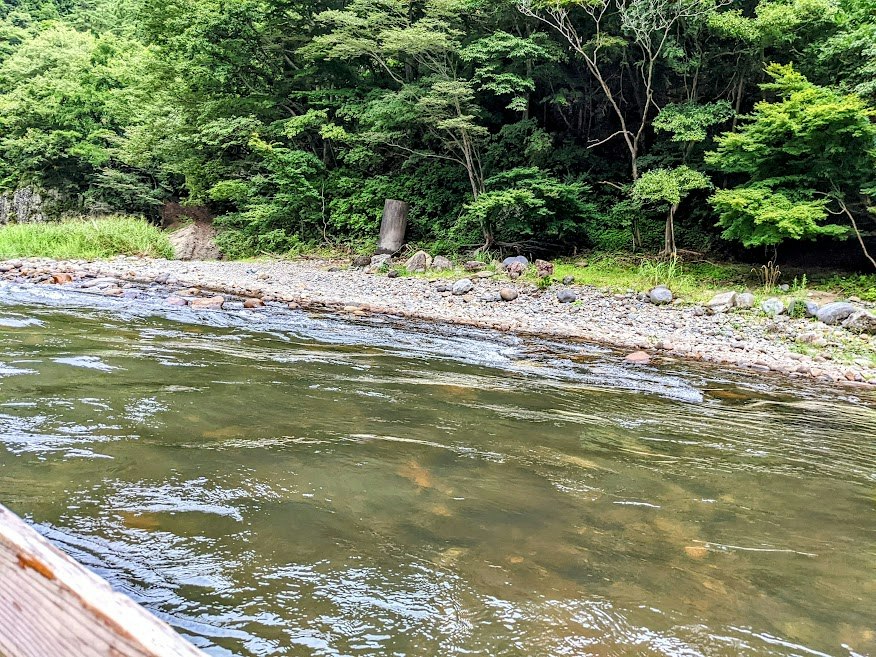 川沿いの岩と緑の木々が広がる自然の風景