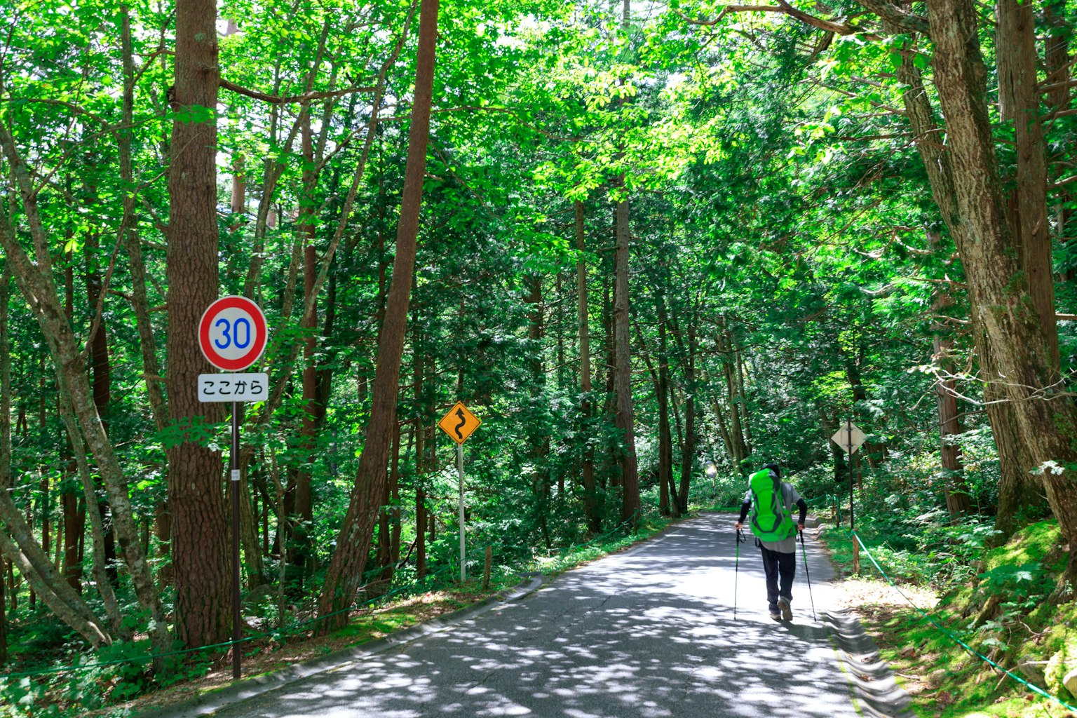 Persona che cammina su una strada circondata da una lussureggiante foresta verde con segnali stradali