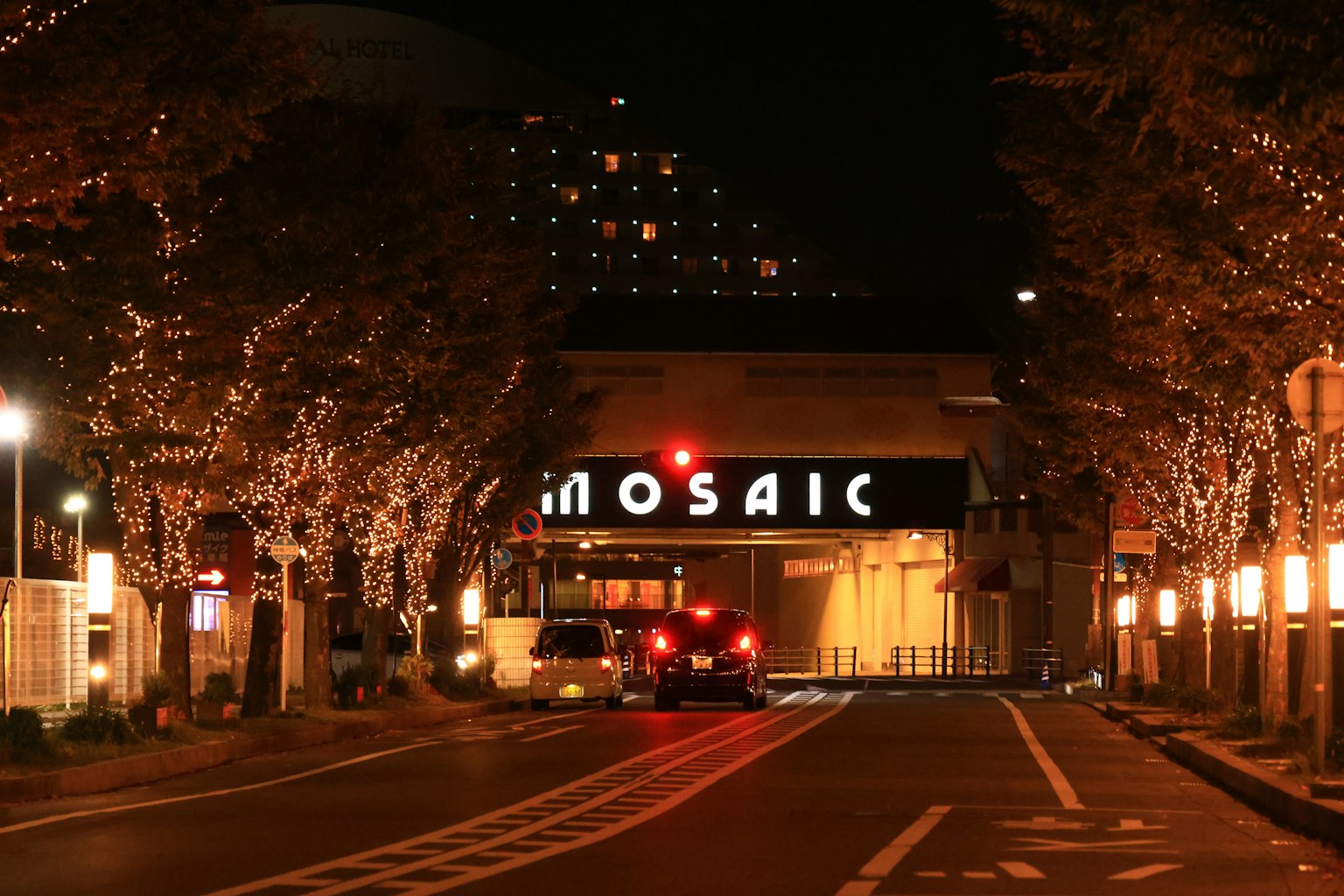 夜间的马赛克入口装饰树木和交通信号
