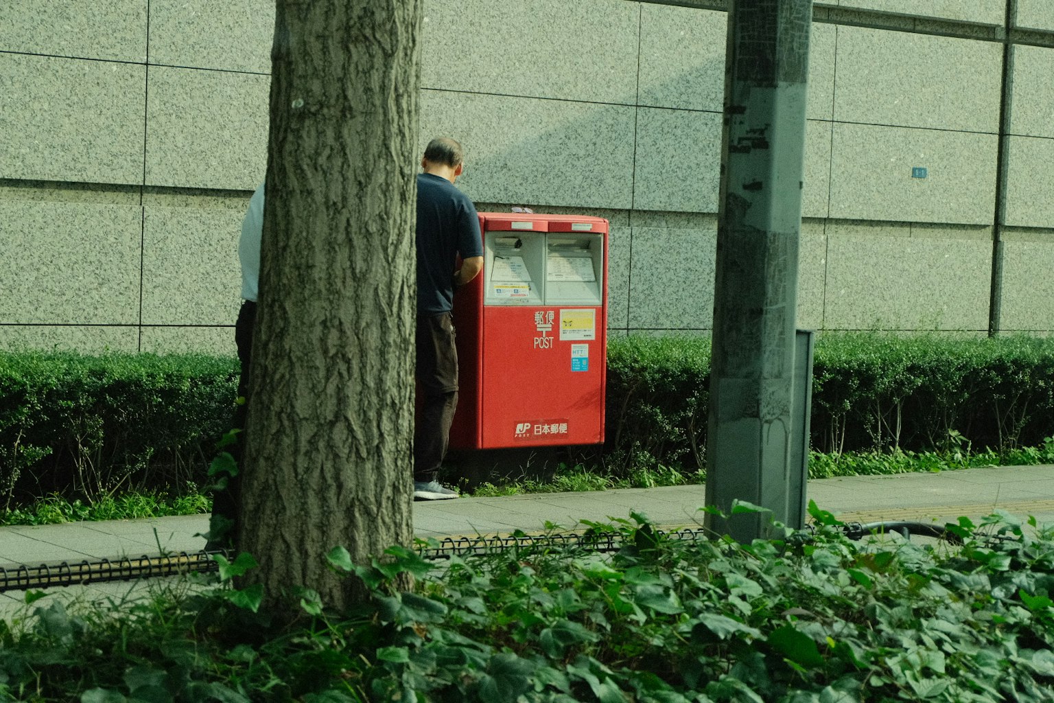 赤い郵便ポストの前に立つ人と周囲の緑の植栽