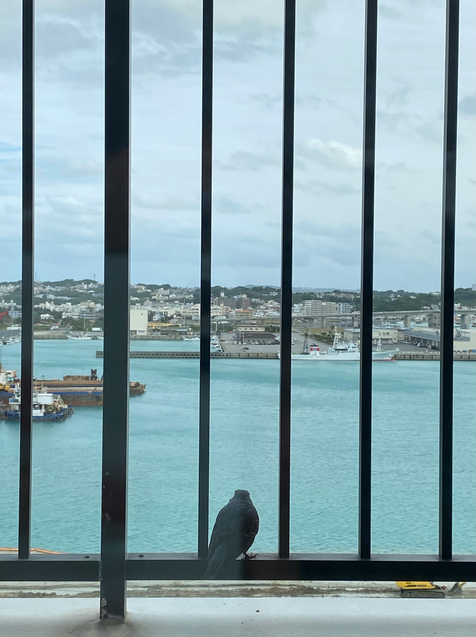 Bird perched on balcony railing with a view of blue sea and harbor