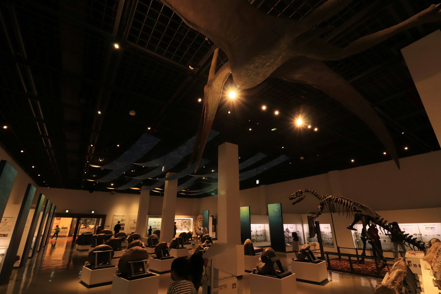 Interno di un museo che espone fossili di dinosauri e grandi modelli in un ambiente ben illuminato