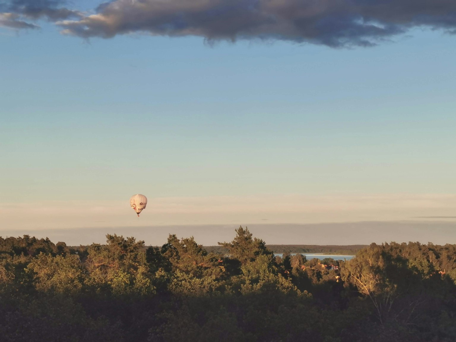 Una mongolfiera che fluttua nel cielo sopra un paesaggio forestale