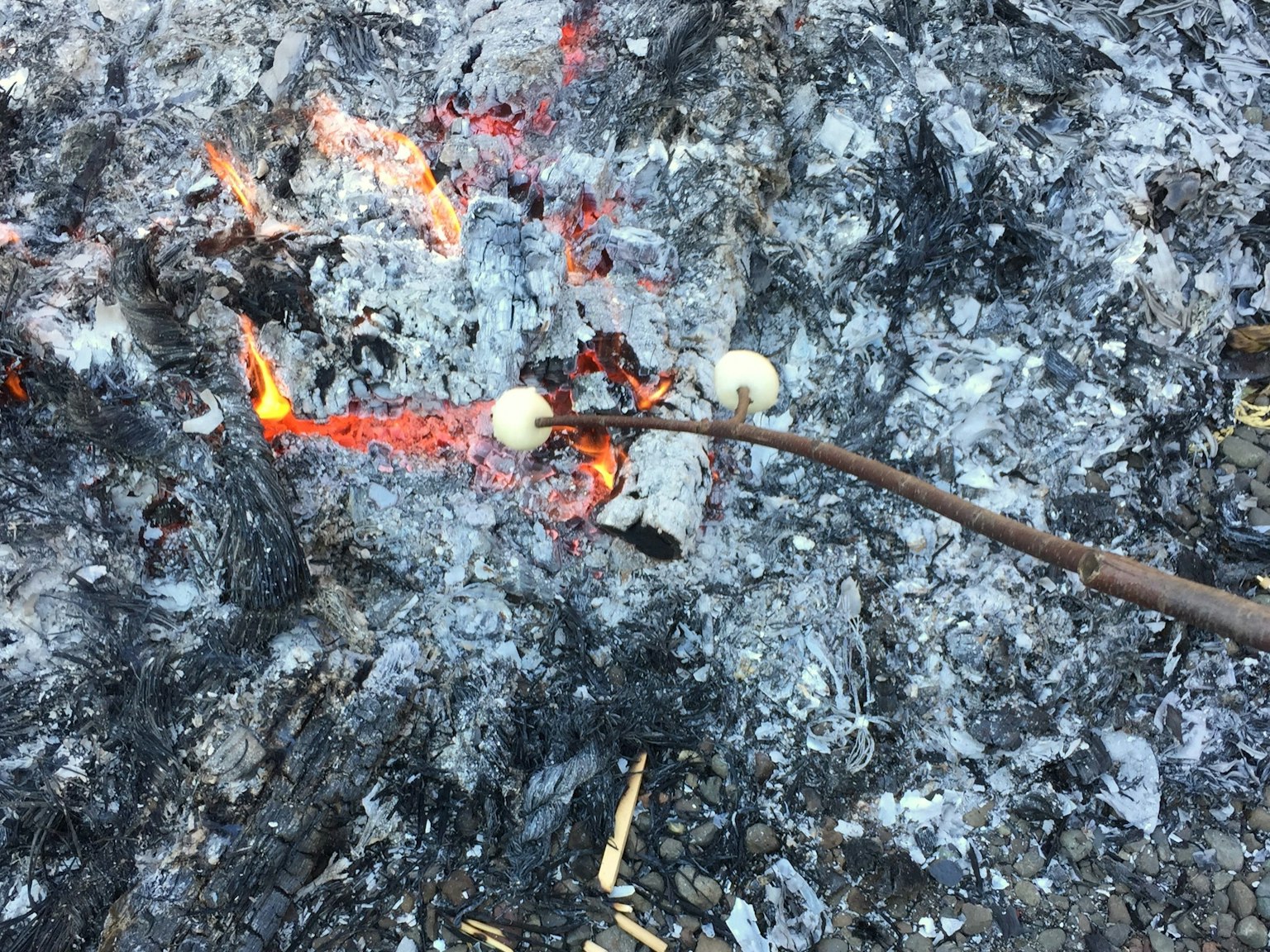 一根带有棉花糖的棍子在篝火上烤