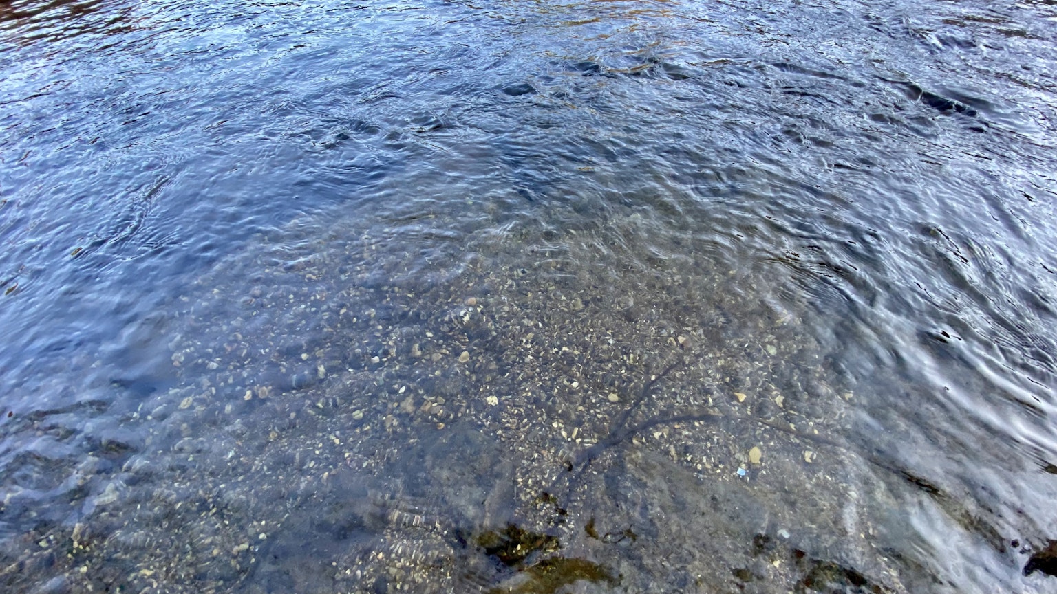 清澈的溪流，水面下可見石頭