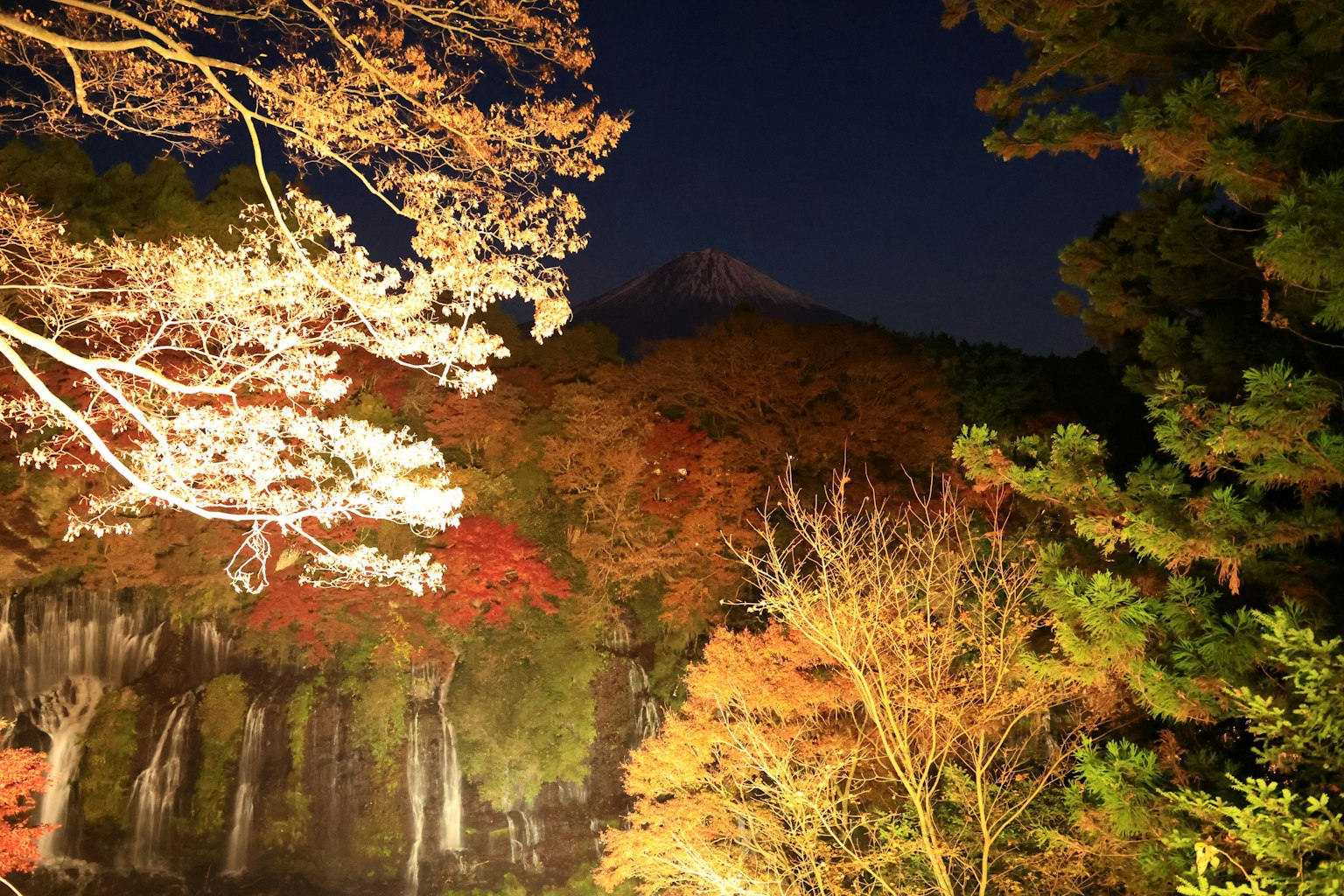 夜间秋叶景观，背景为富士山