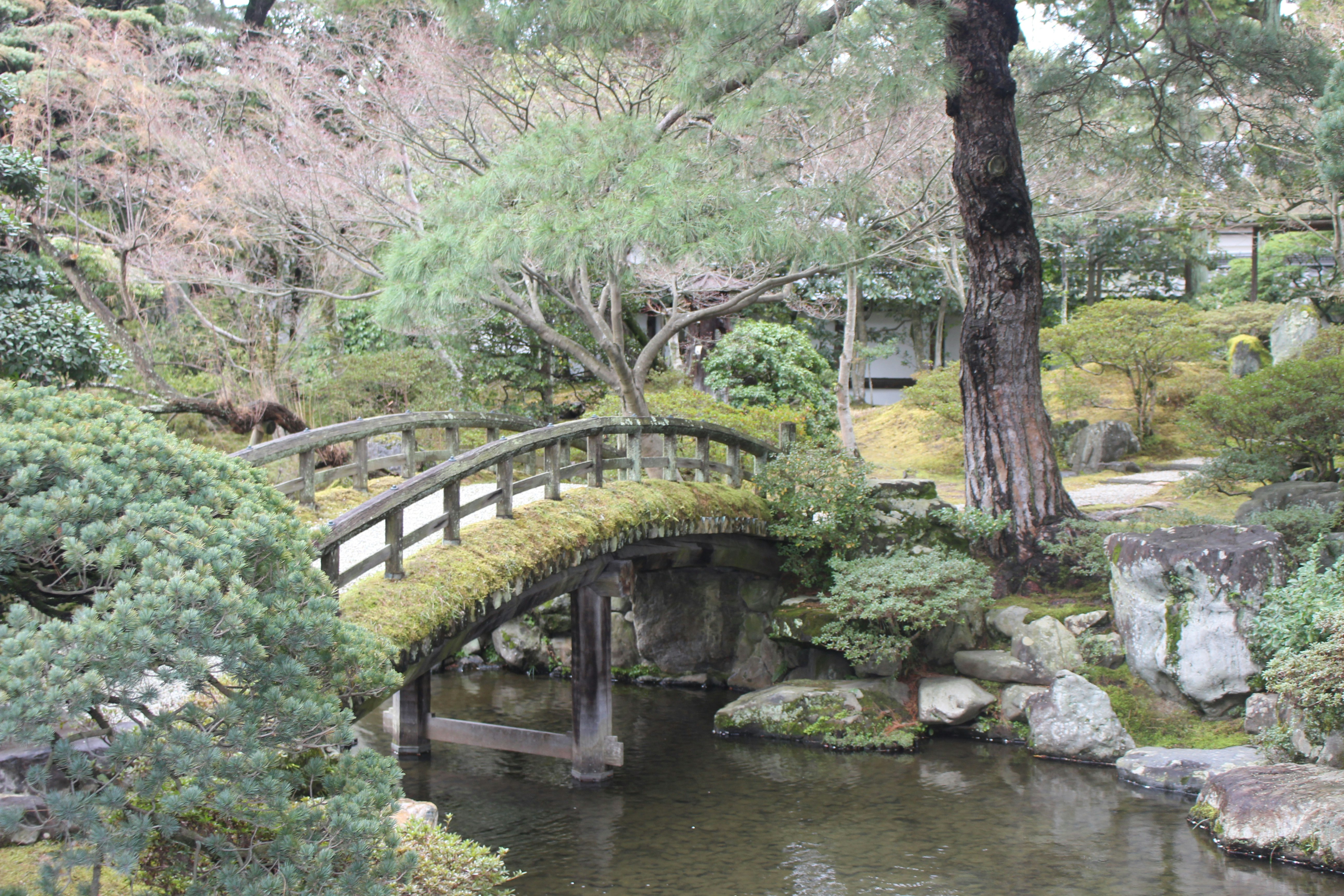 佈滿青苔的小橋與池塘的日式庭園