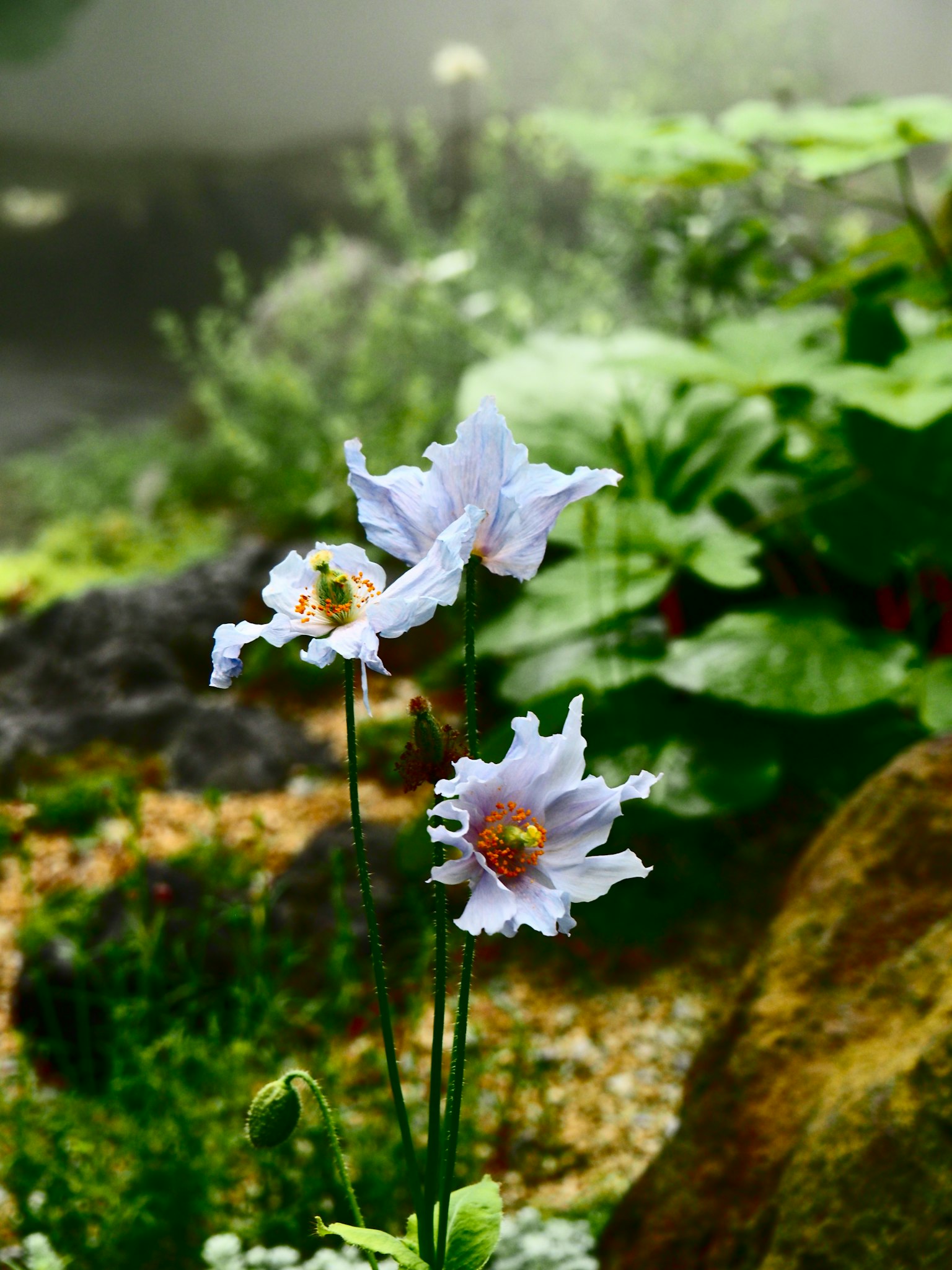 photo-8V1s4xM4sPnO69HgPO7t-image