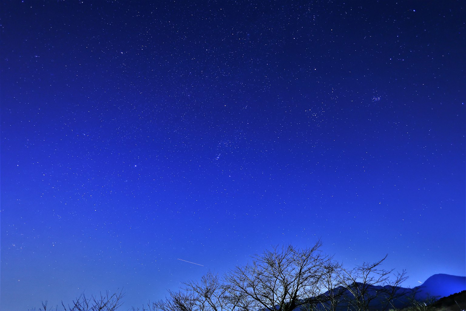 星光璀璨的藍色夜空與樹木剪影