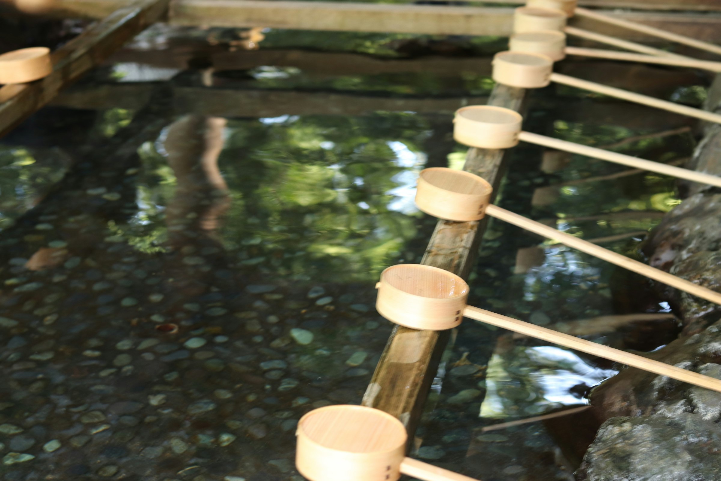 recipiente de agua con separadores de bambú y boquillas
