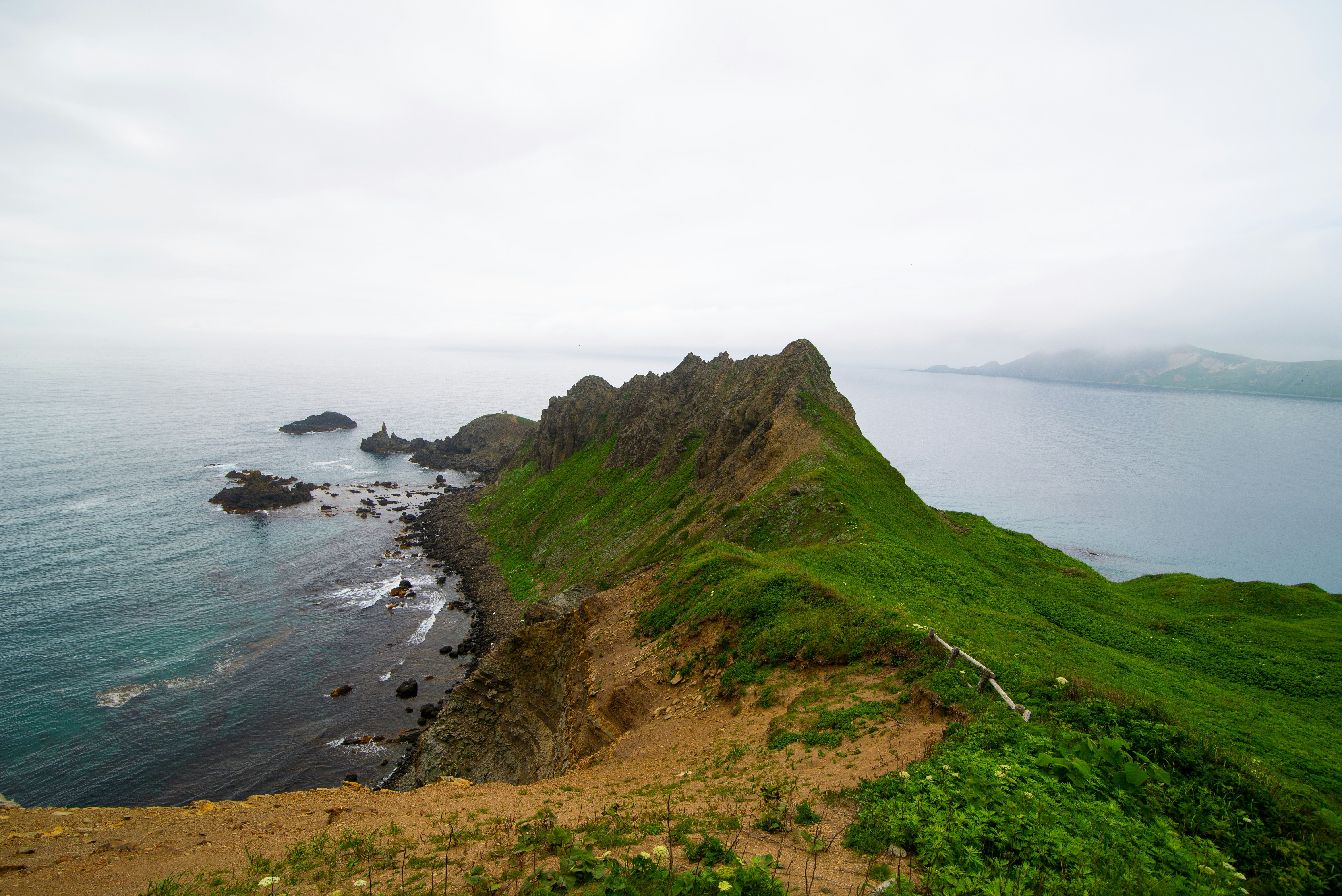 綠色岬角與俯瞰海面的崎嶇海岸線