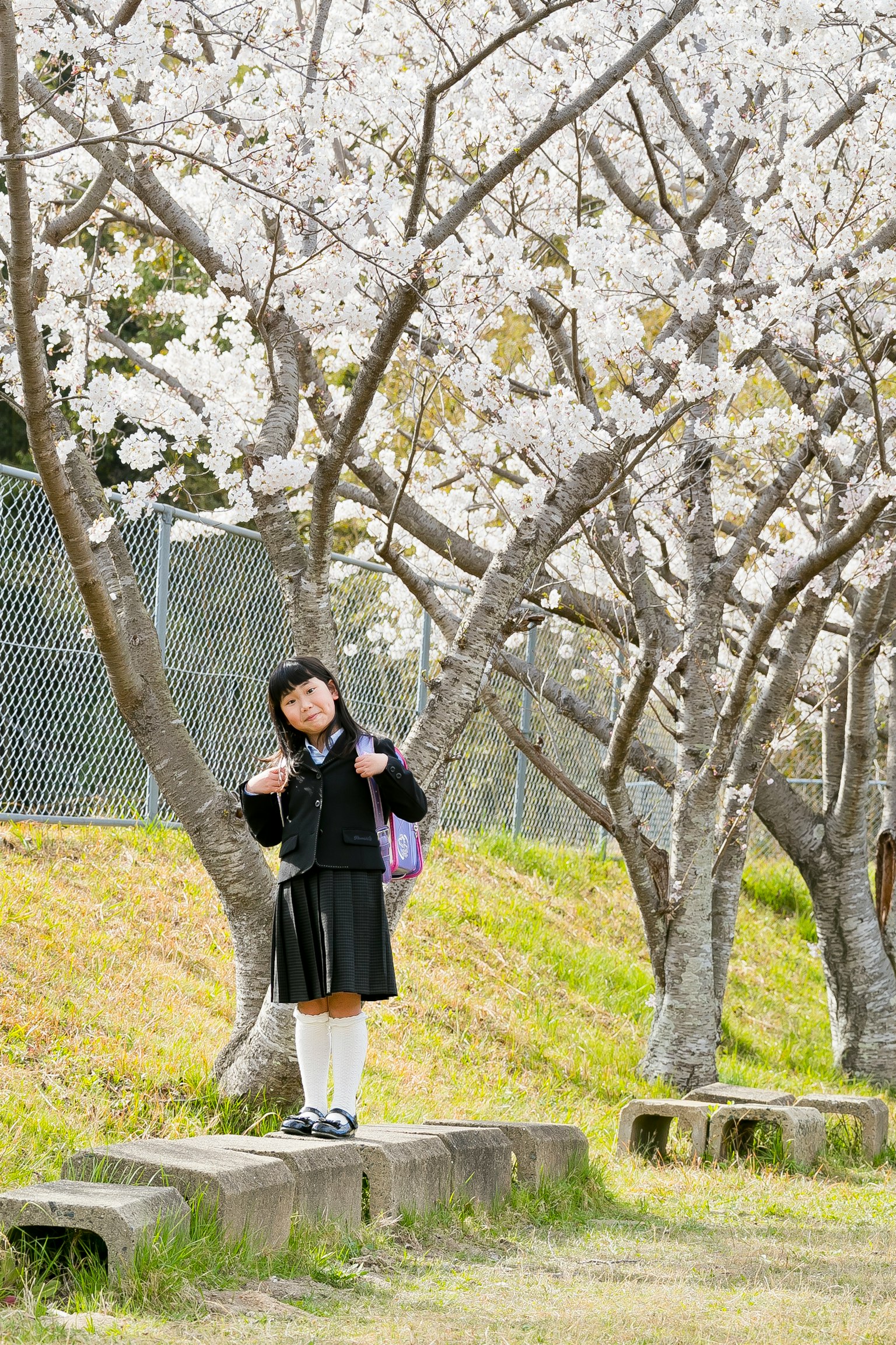 A smiling girl standing under cherry blossom trees