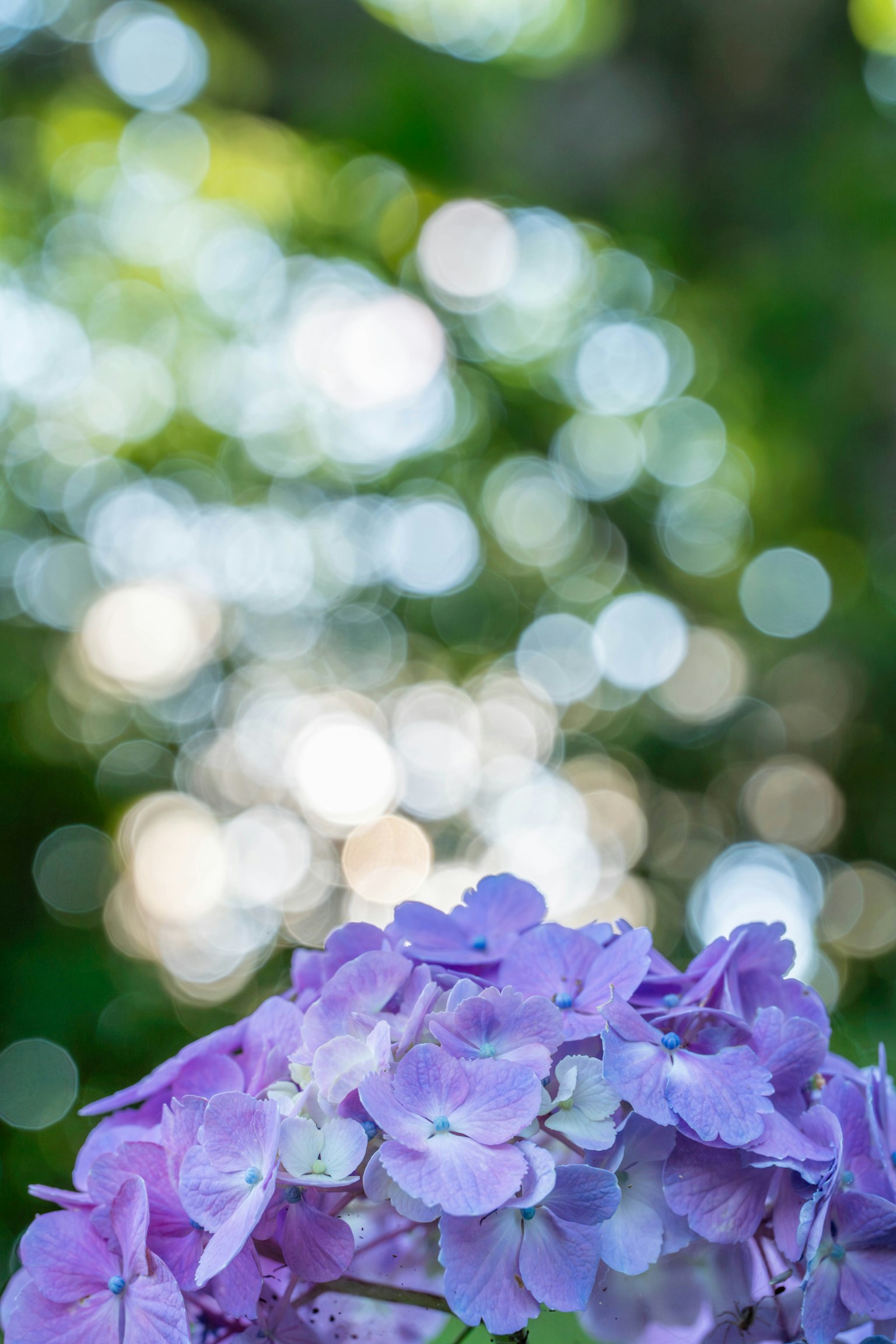 photo-8WXzsD1NPfGvY6ejbj4q-image