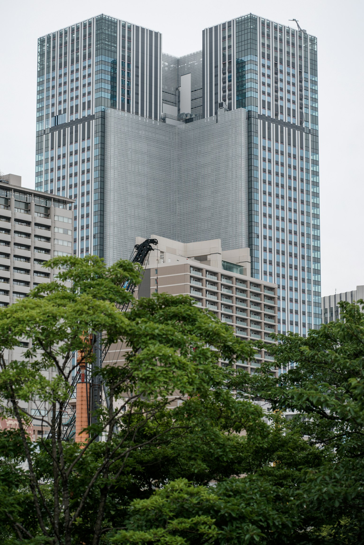 ทิวทัศน์เมืองที่มีตึกระฟ้าซึ่งถูกต้นไม้เขียวขจีบดบังบางส่วน