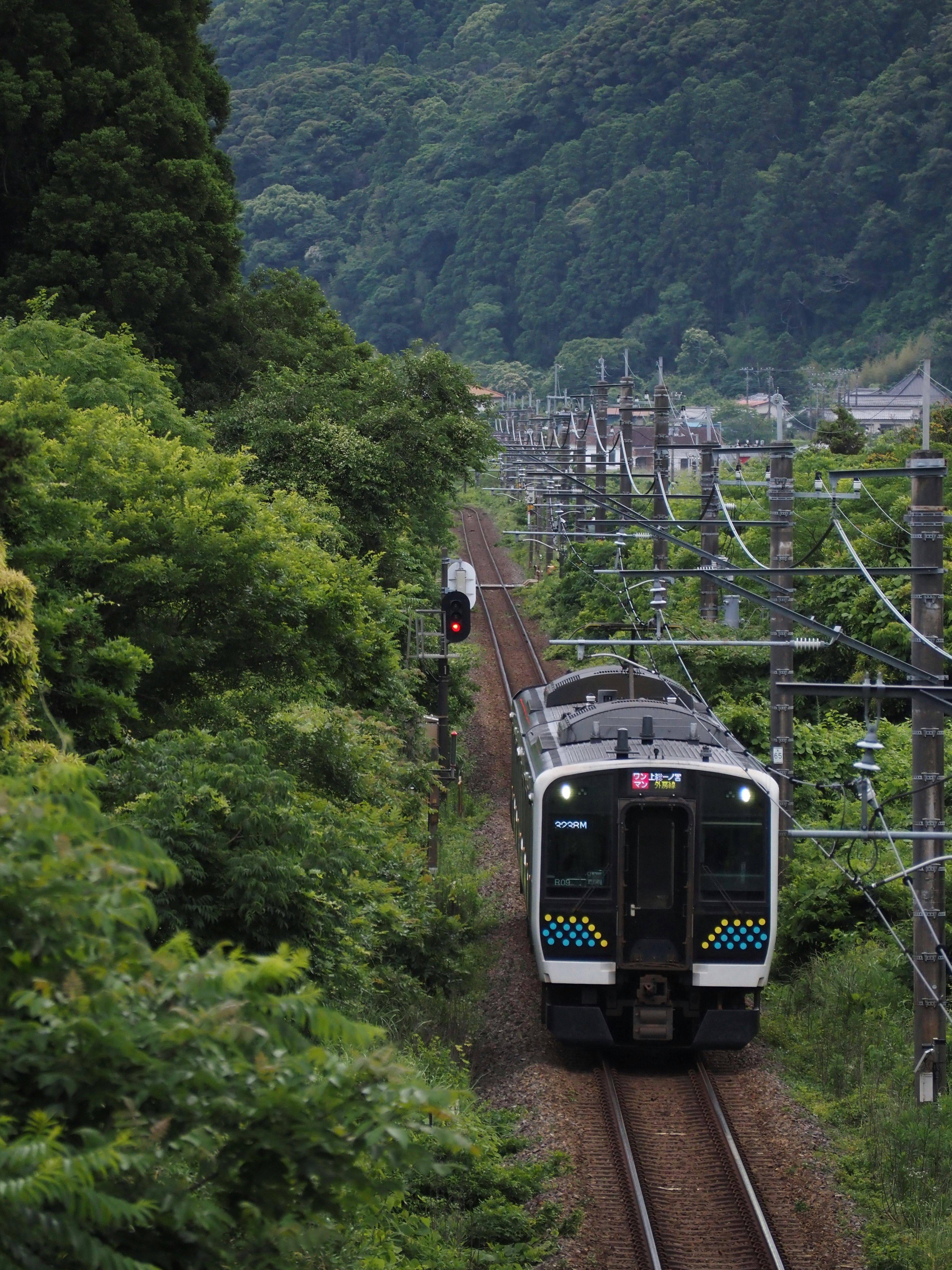 รถไฟไฟฟ้ารุ่น E131 ของสายโซโตโบ (JR East) แล่นผ่านความเขียวชอุ่ม