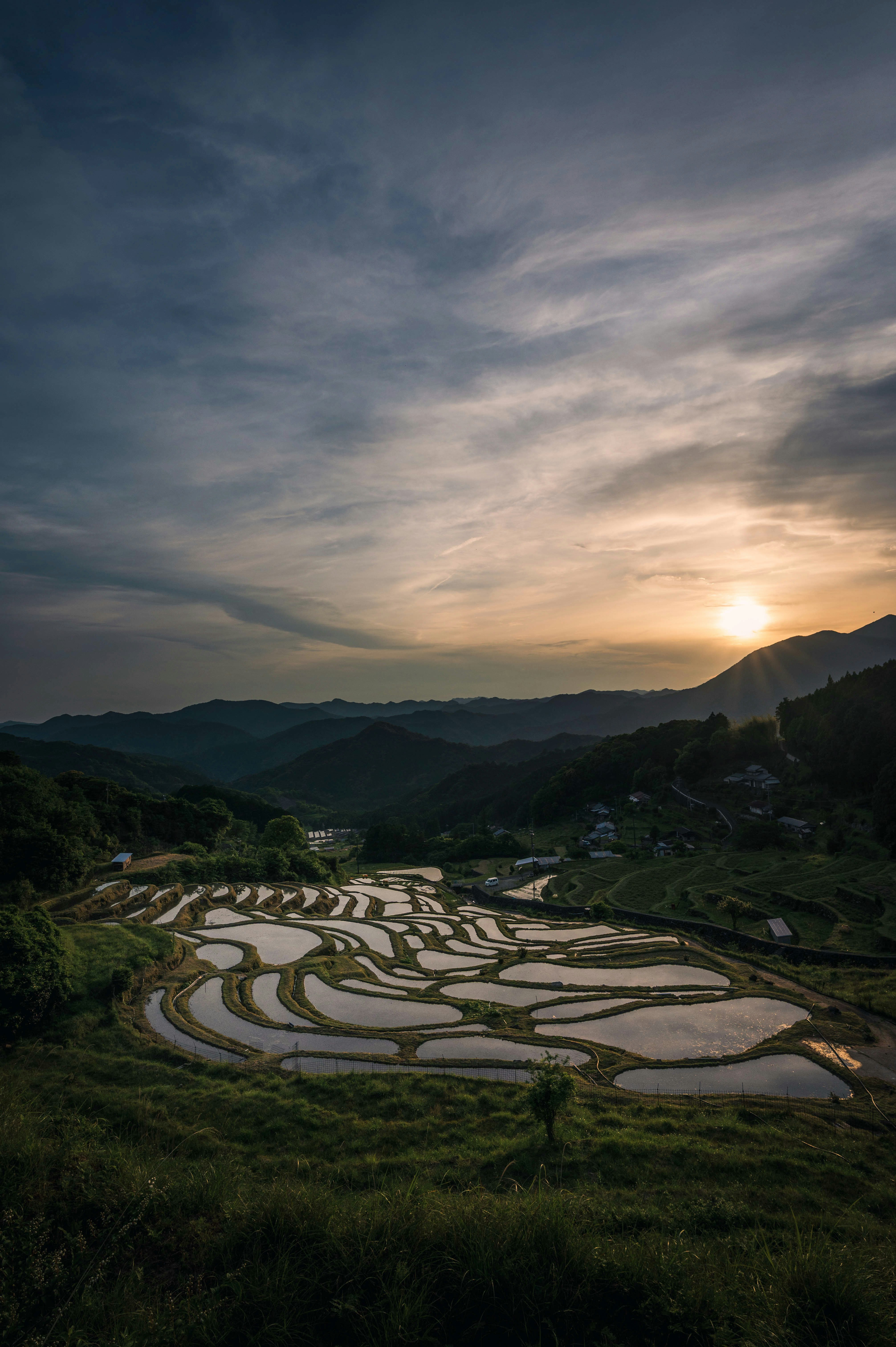 夕暮れの棚田と山並みの風景