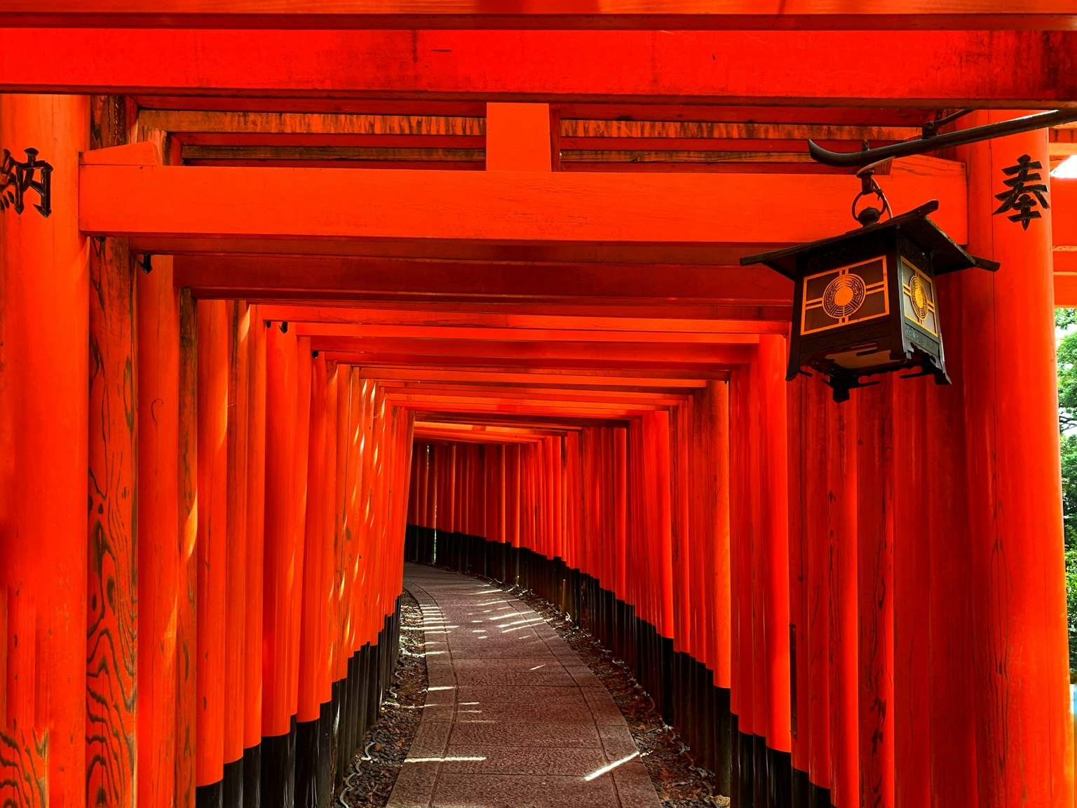 Ein Tunnel aus lebhaften roten Torii-Toren, der in die Ferne führt