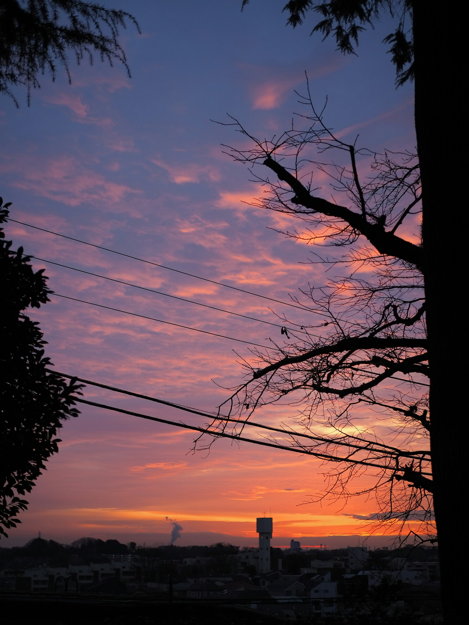 Un paysage avec un ciel au coucher de soleil et des arbres en silhouette