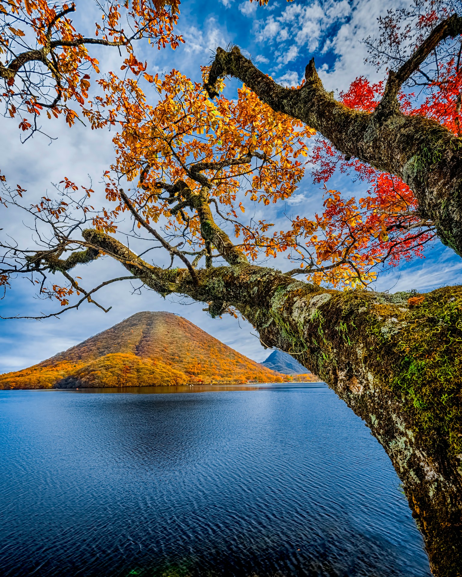 Vue pittoresque des feuilles d'automne et d'un lac avec une montagne en arrière-plan