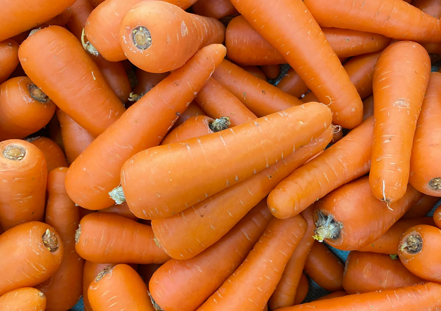 Un montón de zanahorias naranjas frescas apiladas