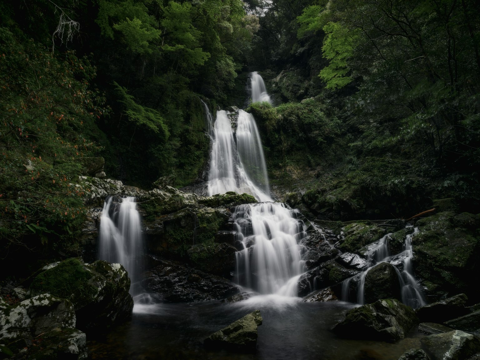 Malersicher Blick auf einen Wasserfall in einem üppigen Wald