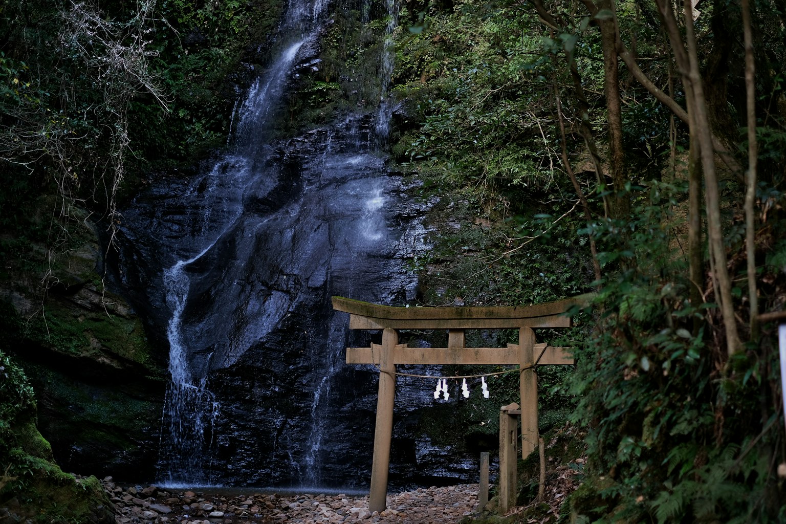 Lush forest scene featuring a waterfall and a torii gate