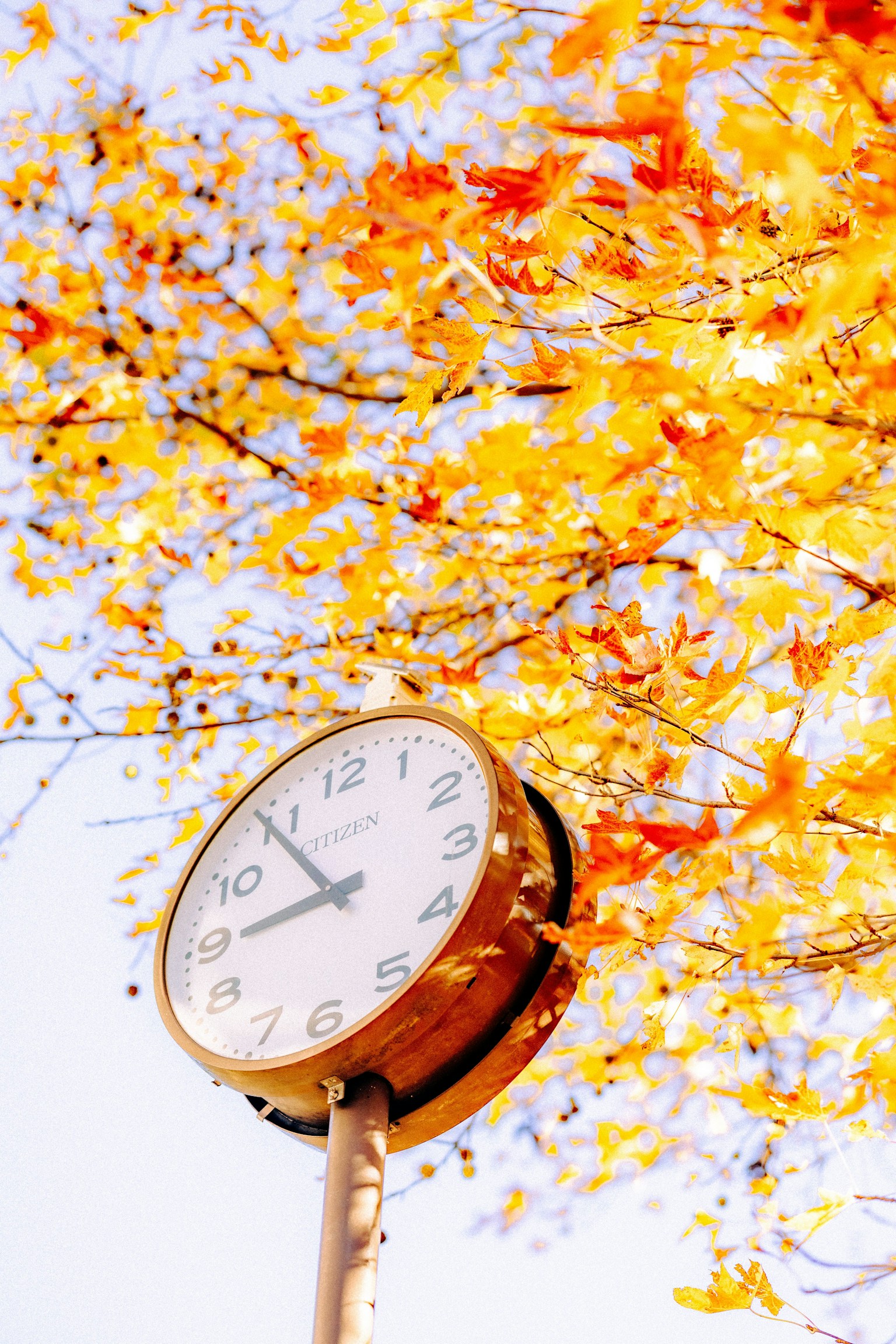 Nahaufnahme einer analogen Uhr umgeben von Herbstblättern Heller orange und gelber Laub im Hintergrund