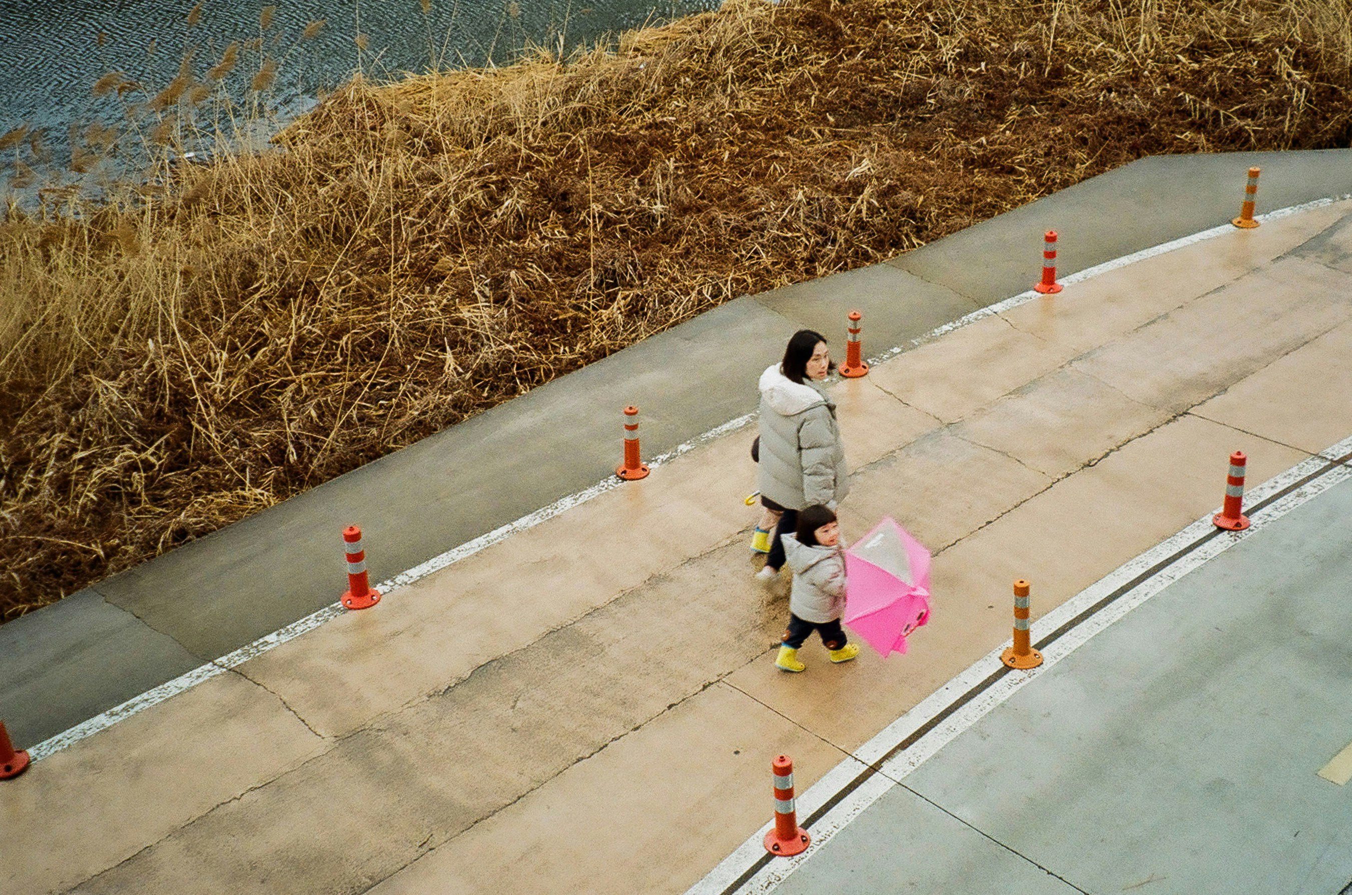 親子がピンクの傘を持って歩いている風景