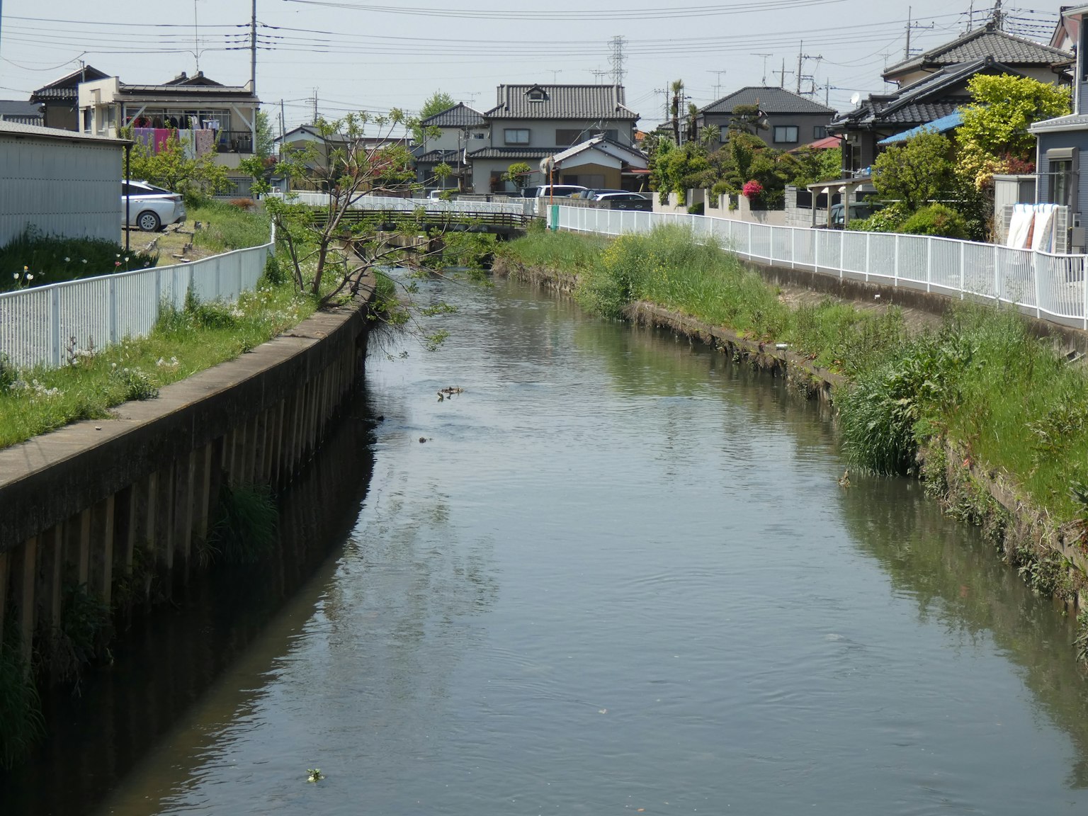 Pemandangan sungai yang tenang dengan rumah-rumah di sekitarnya